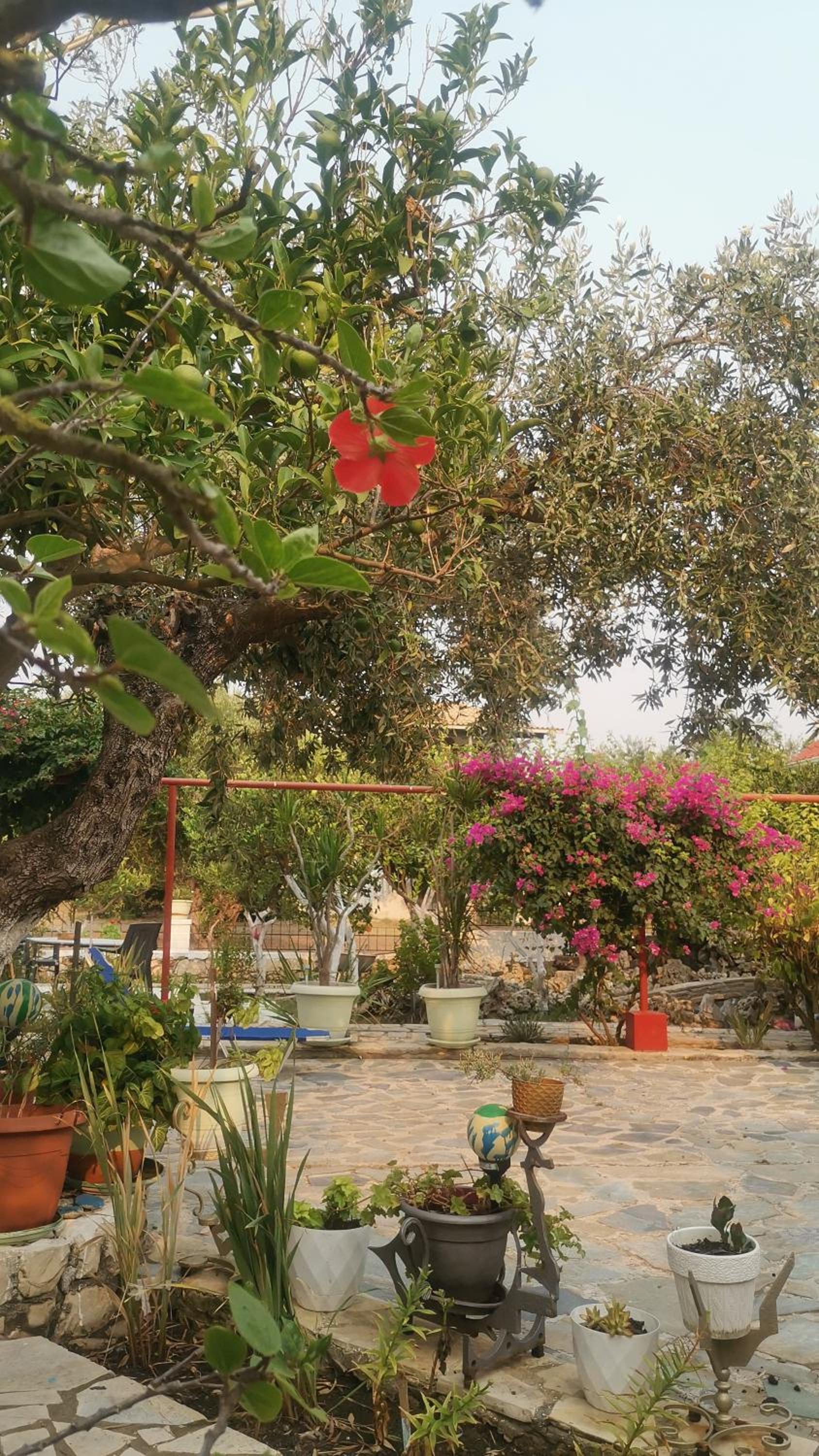 Villa Mimika