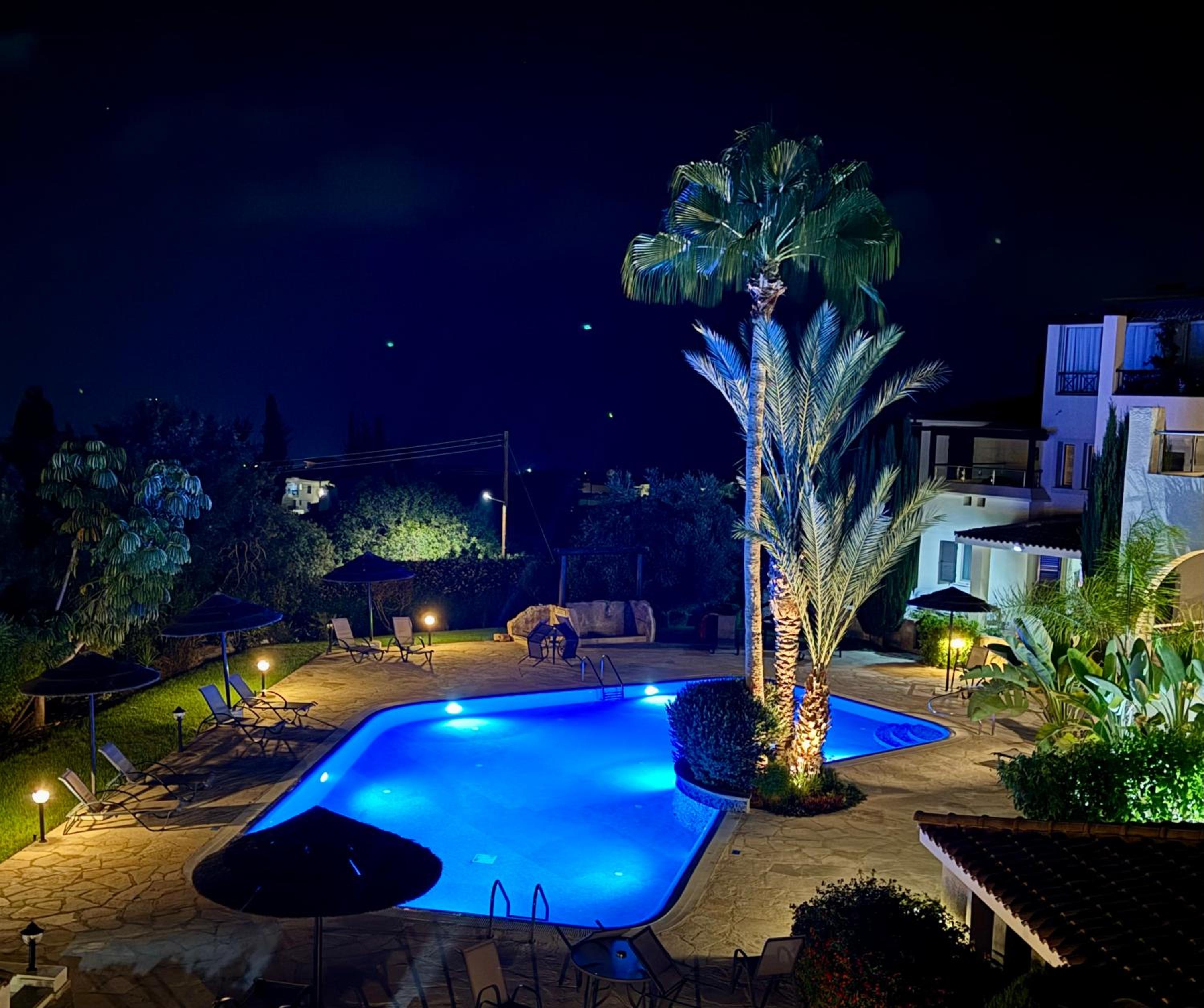 Olive Apartment