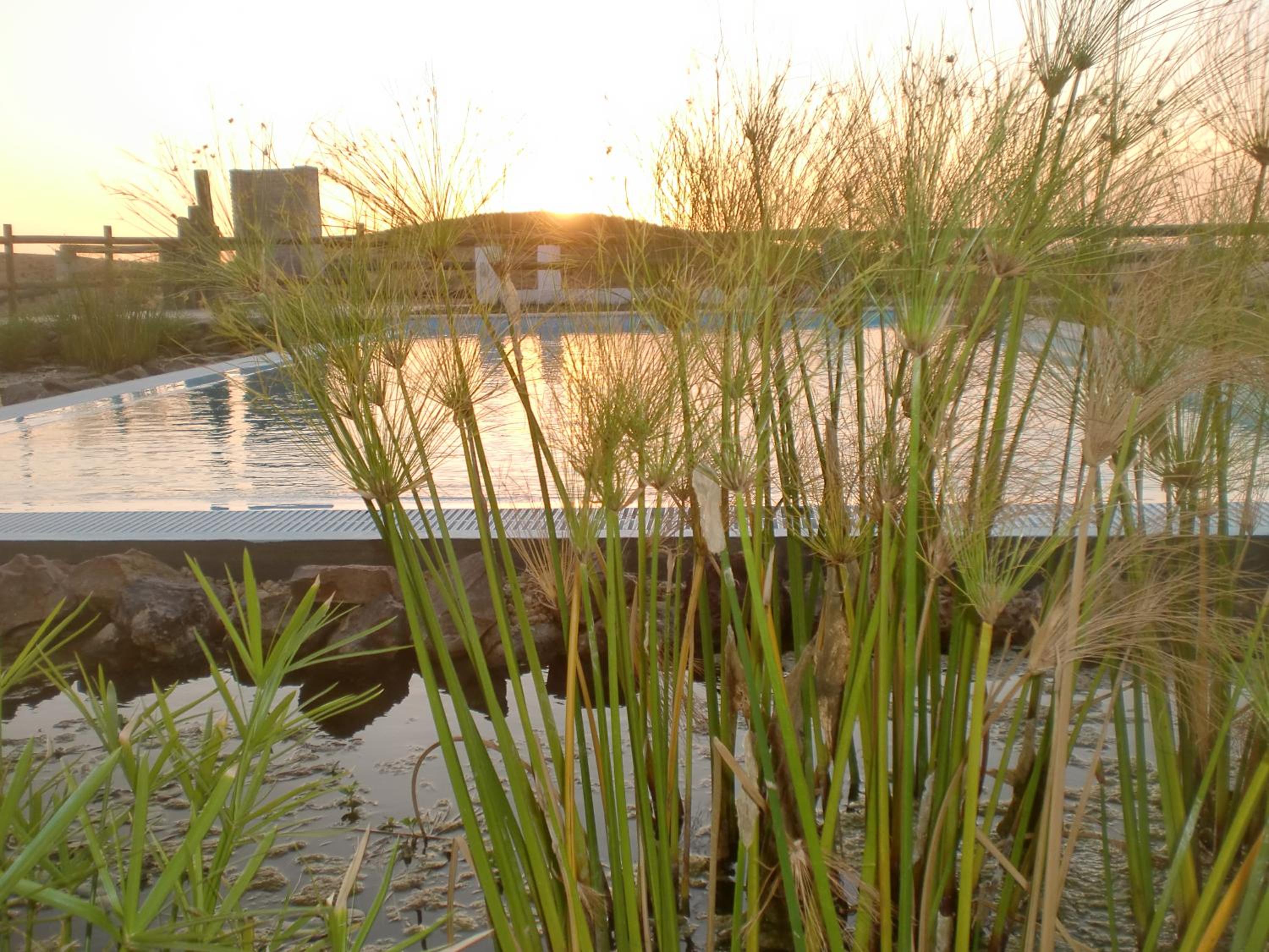 Horta da Quinta