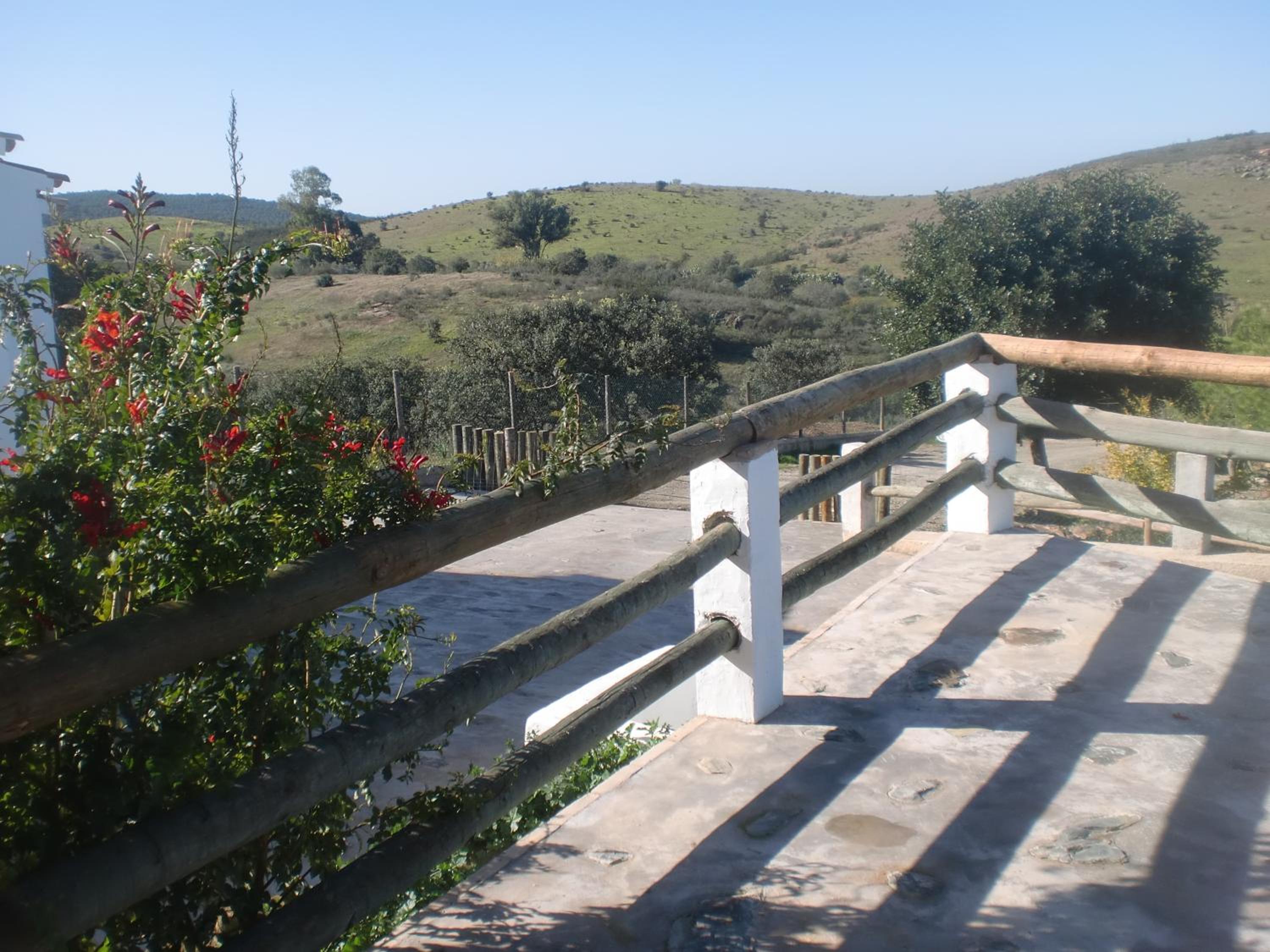 Horta da Quinta