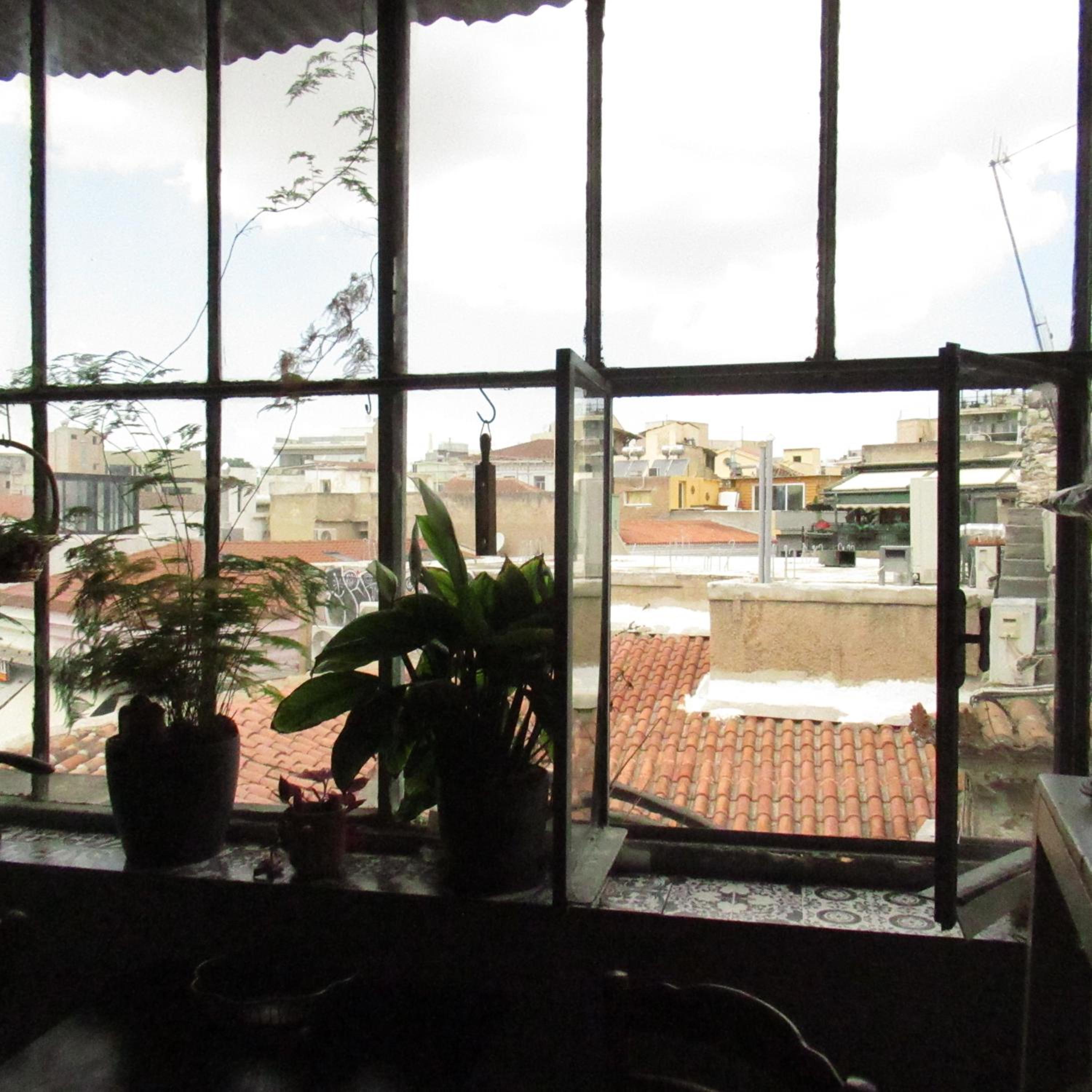 Y House