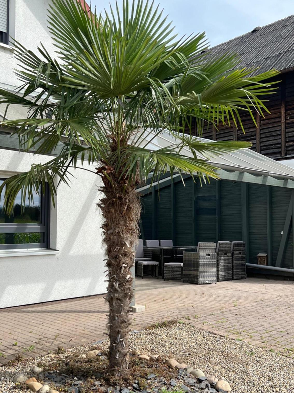 Apartment Sandperle nahe A5 und EUROPAPARK