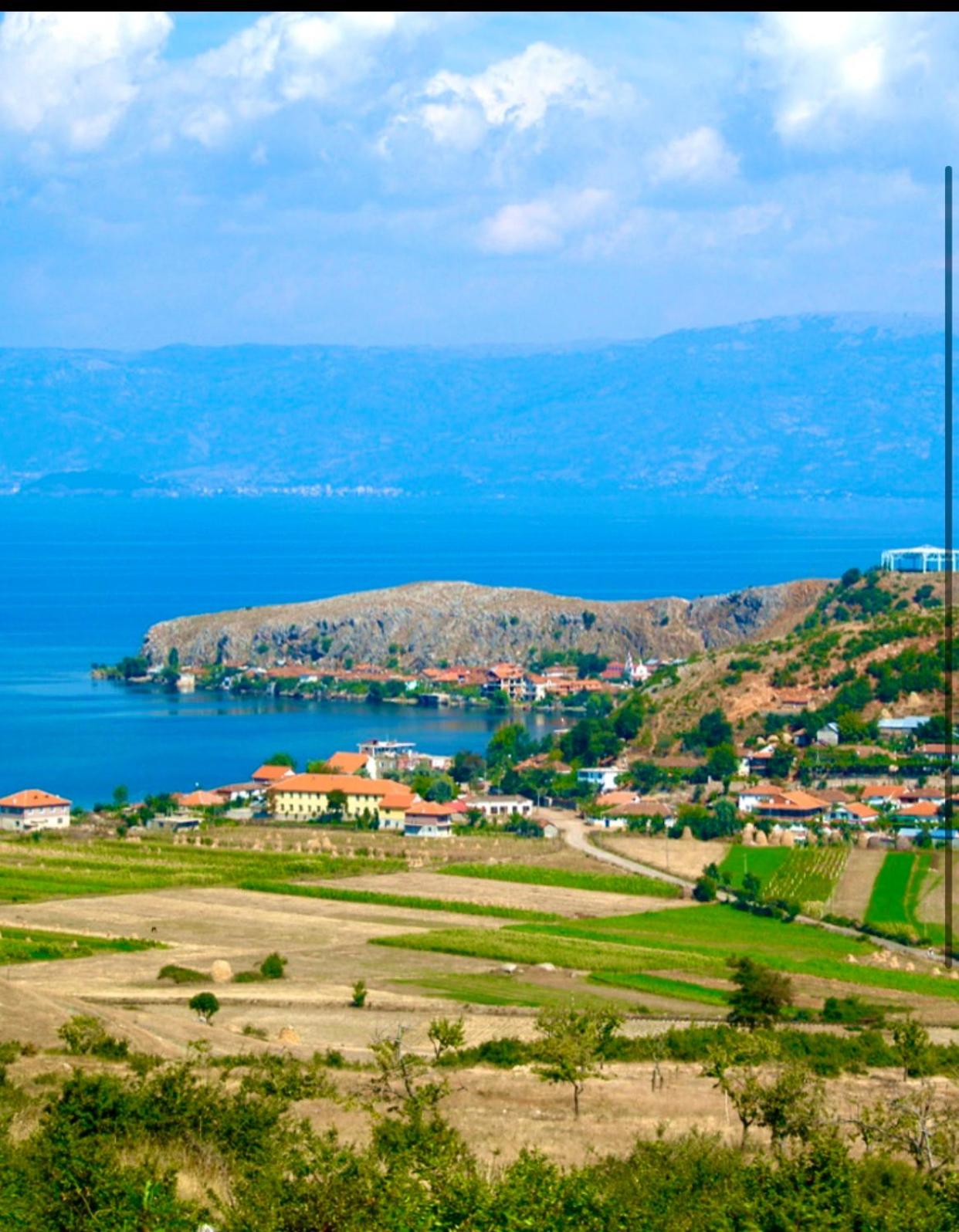 Dejani Guest House photo 4