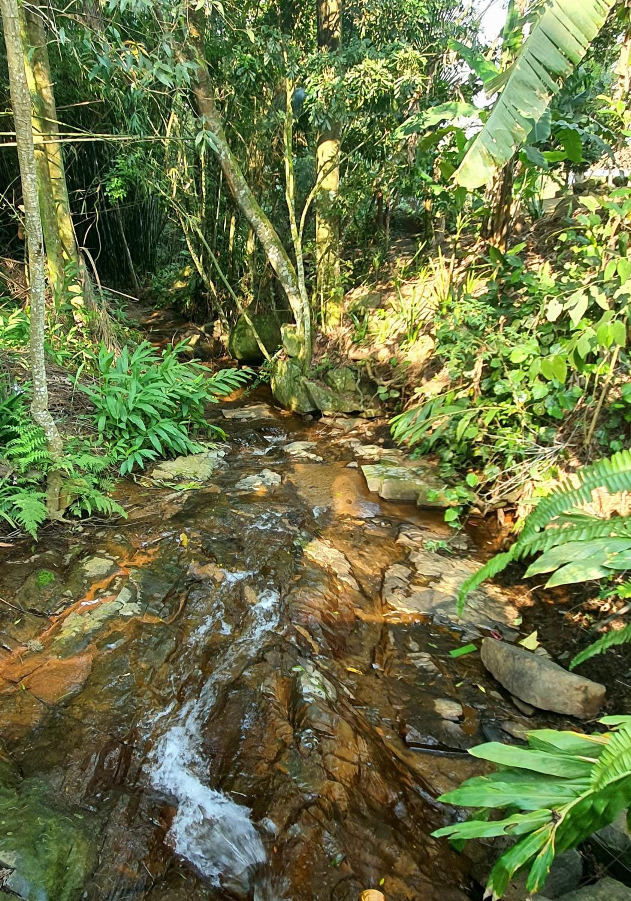 Cabana com Cachoeira Privativa
