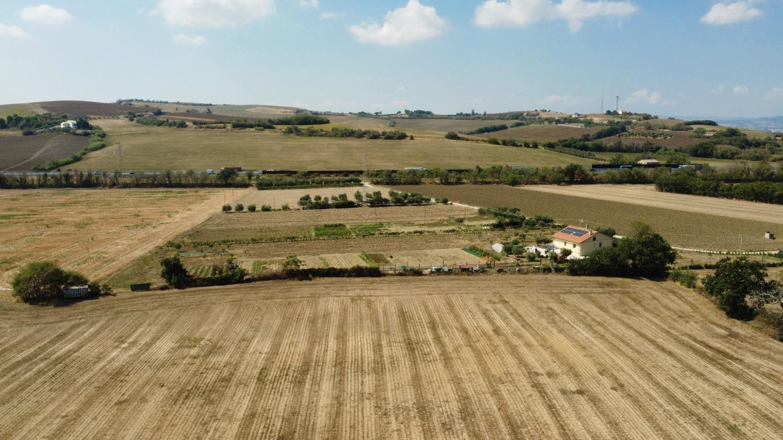 secitrovi