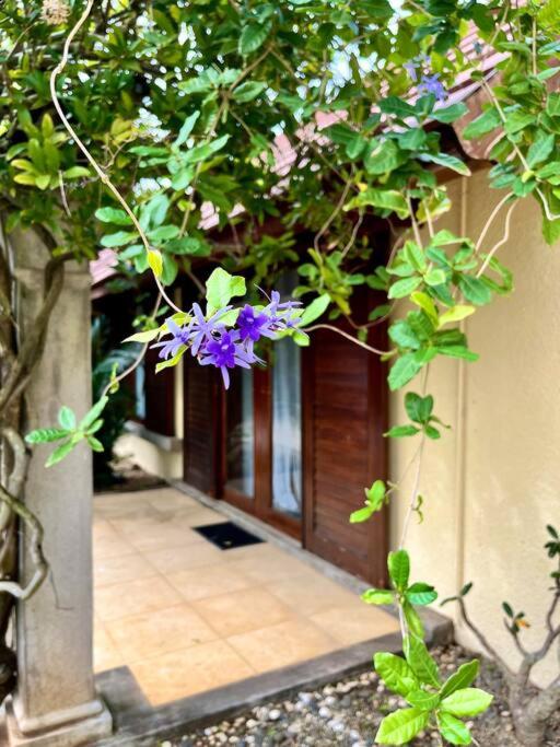 Searenity Villa