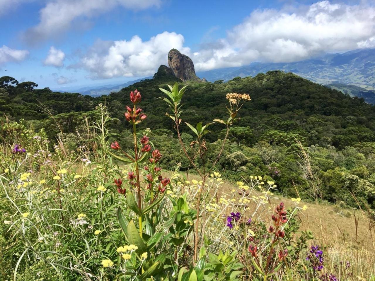 Chalé Dona Flor