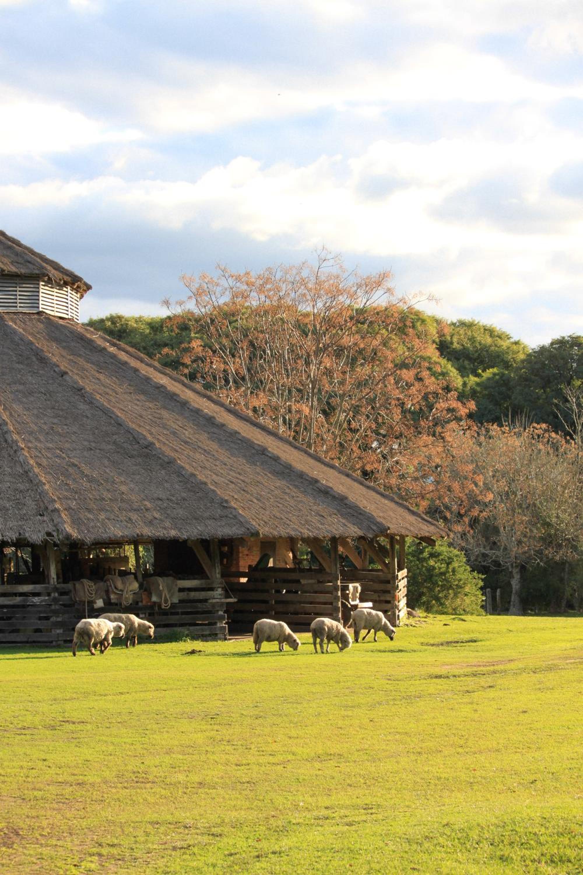 Campo Talamera