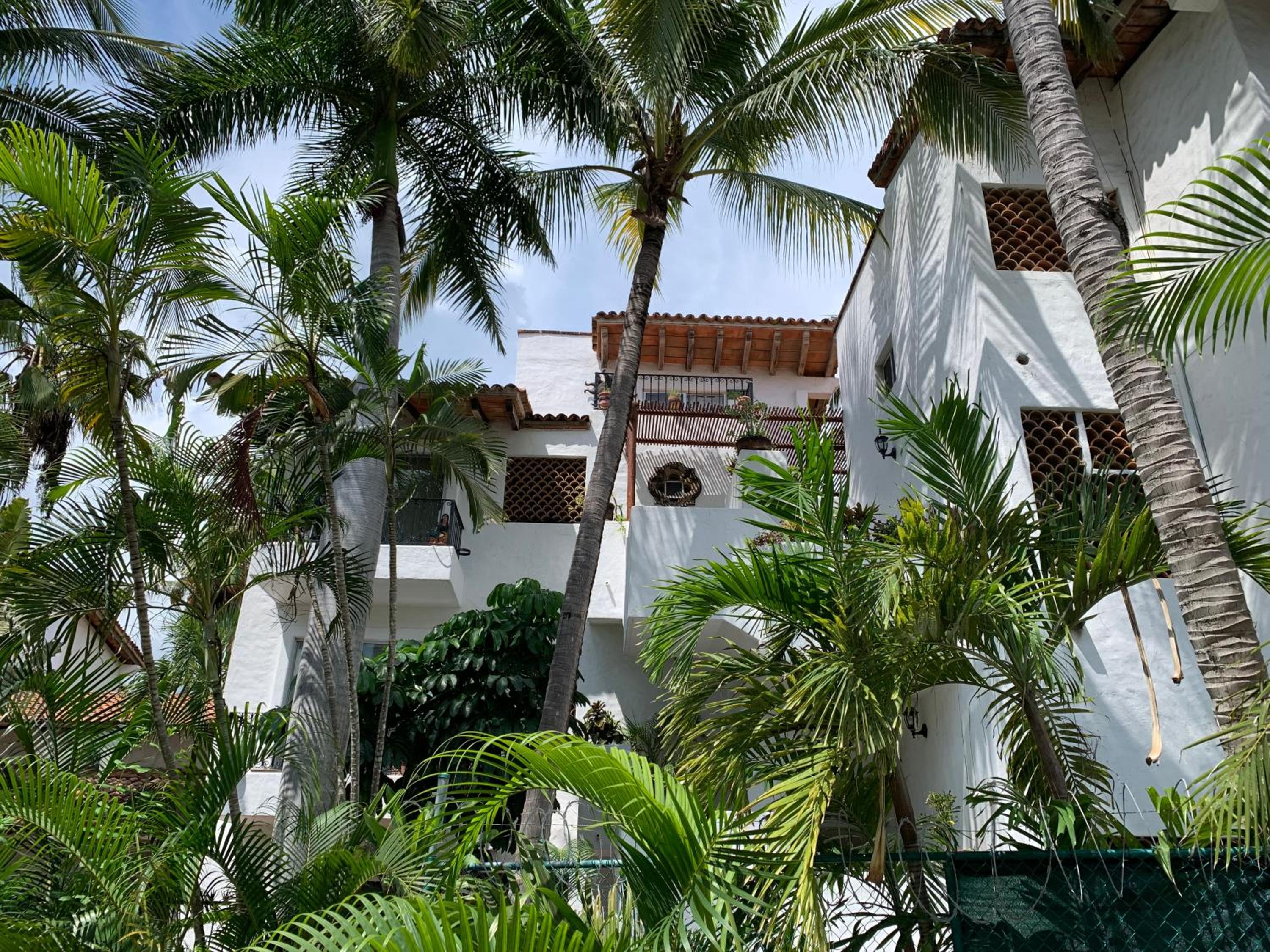 Mangos 4, photo 19