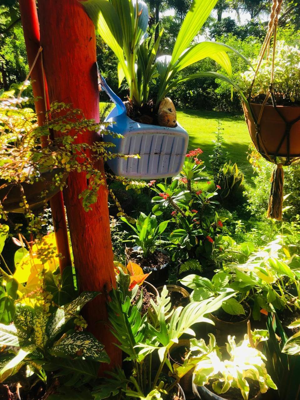 Ranchito PyP