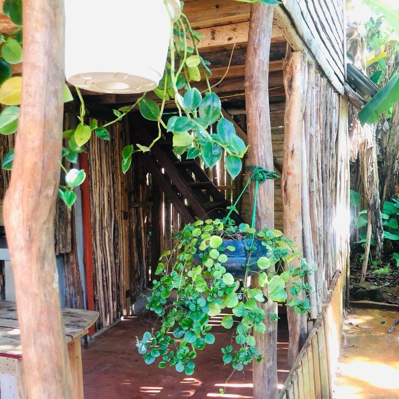 Ranchito PyP