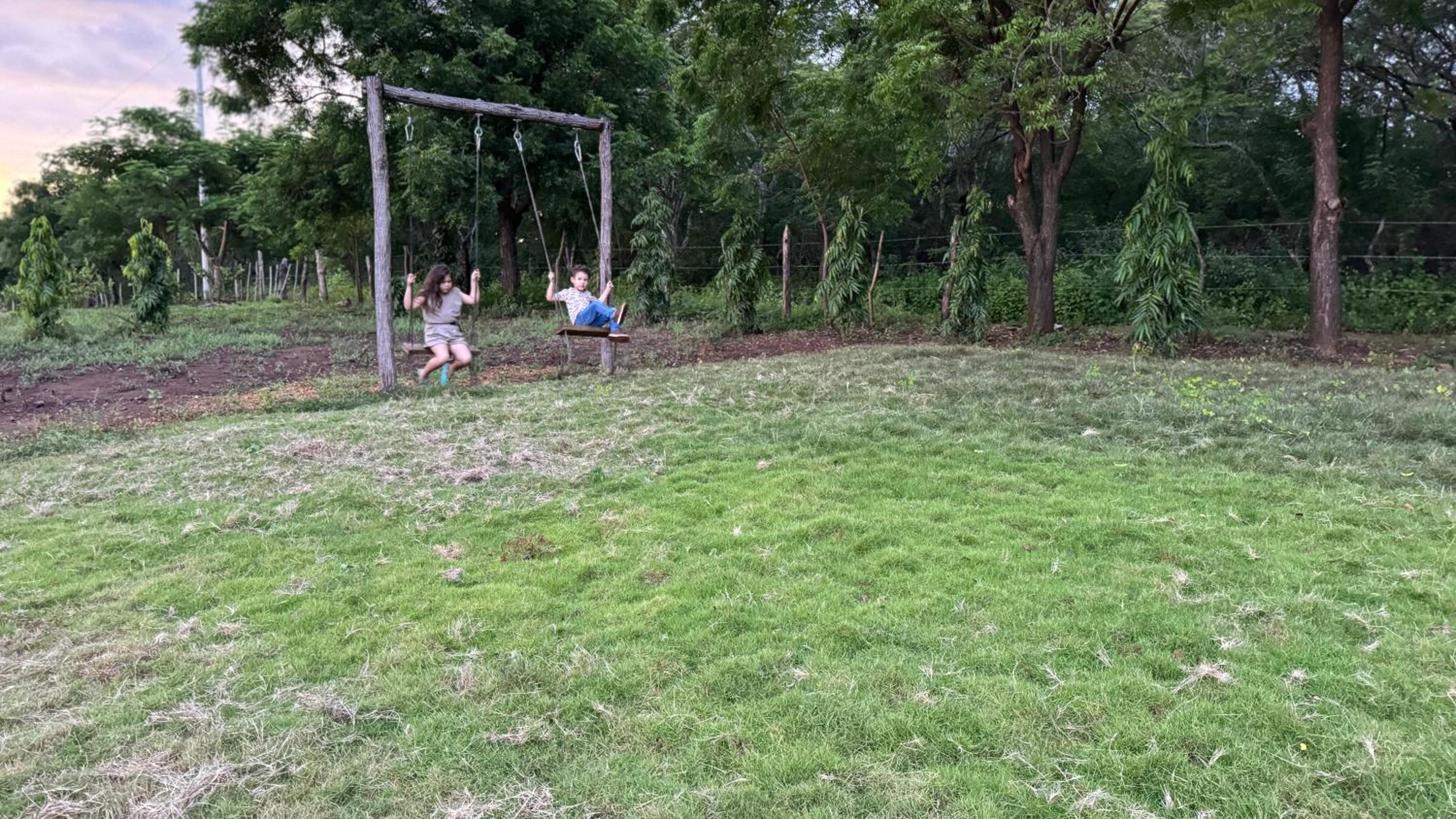 Photo 22