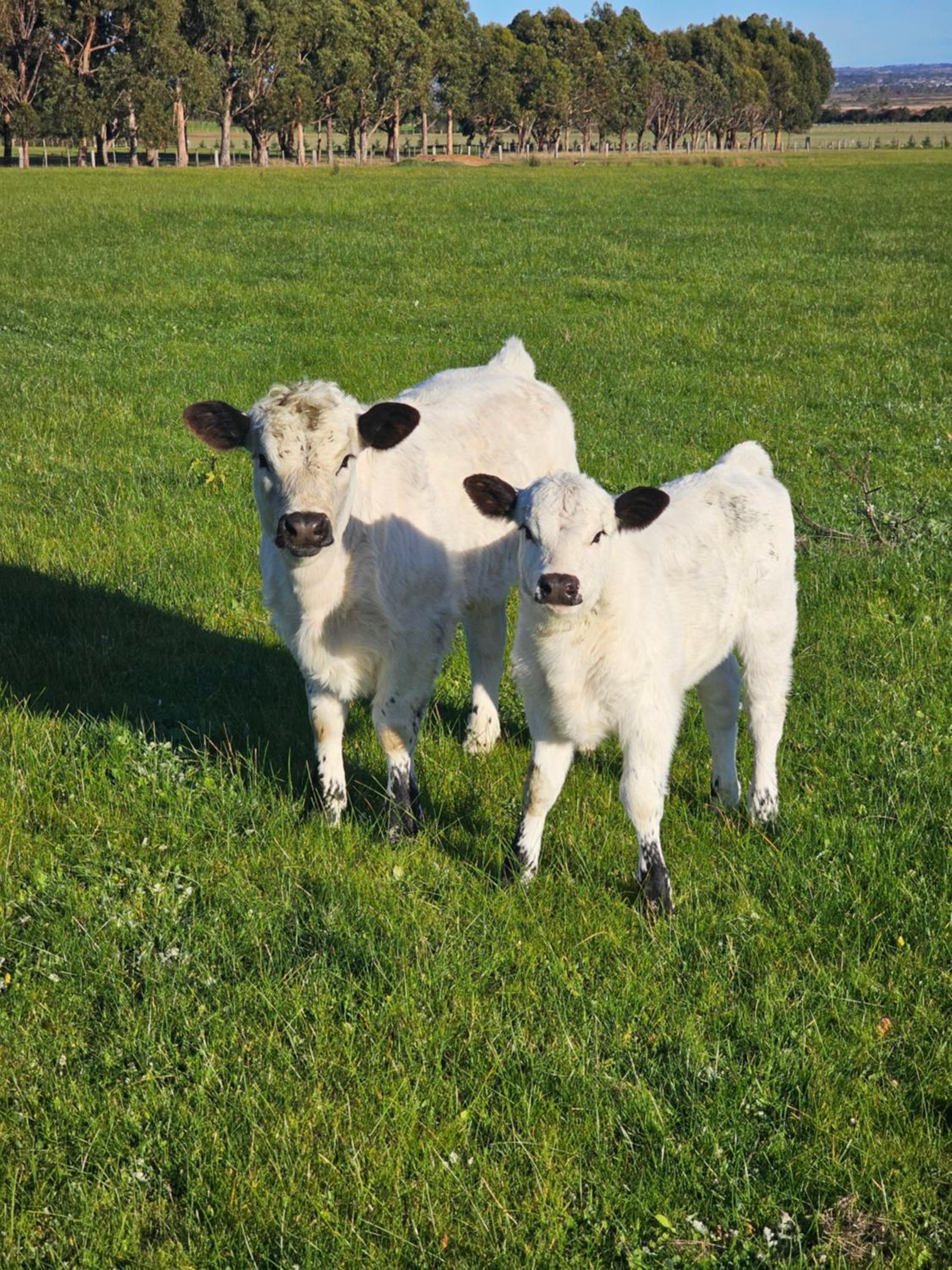 Kilmoyla Farm Stay