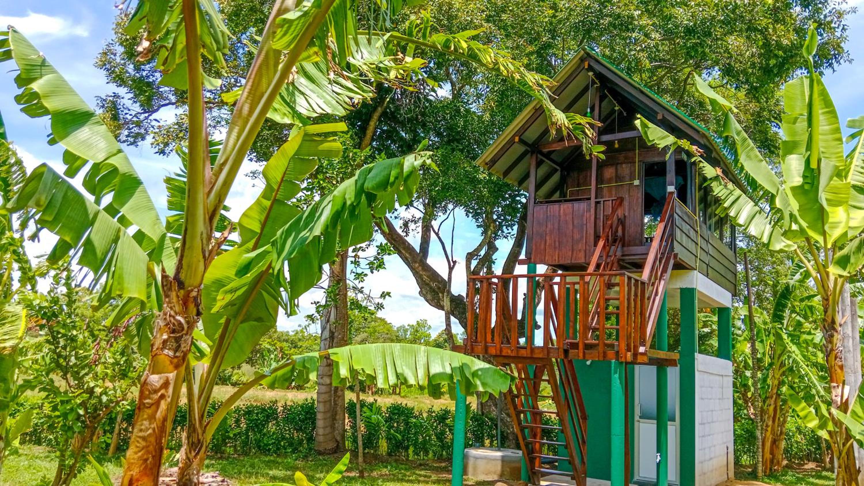 Hotel Pride Rock Villa & Tree House - Image 1