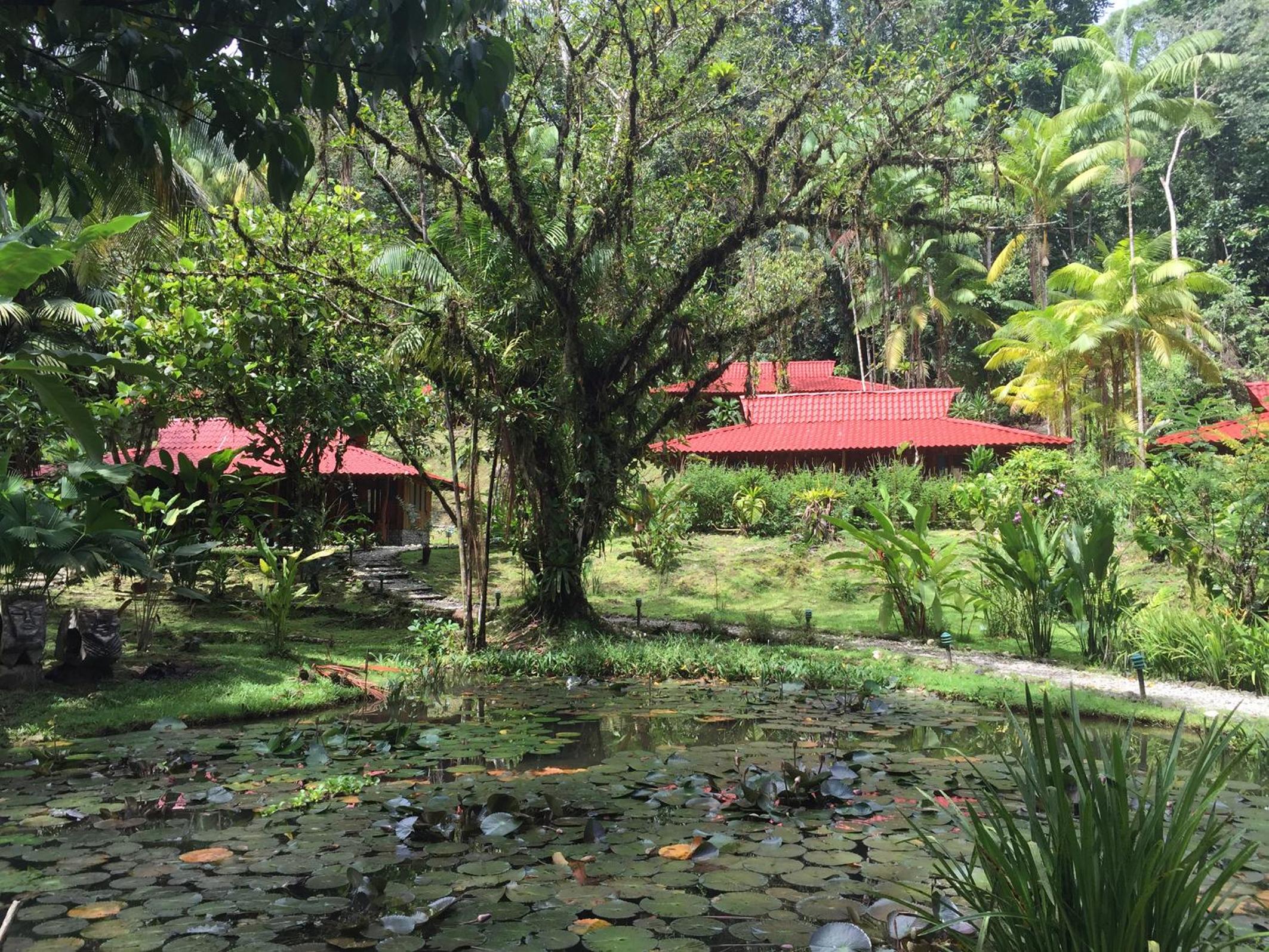 Esquinas Rainforest Lodge