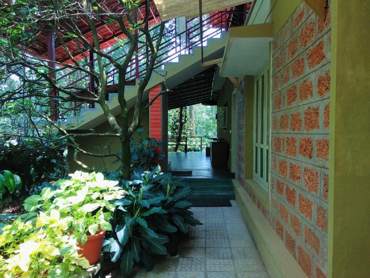 Photo 42