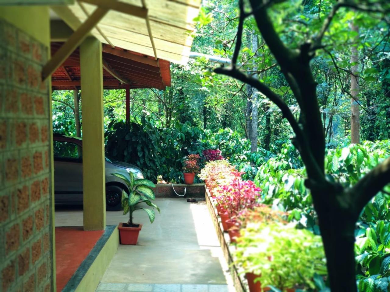 Photo 45