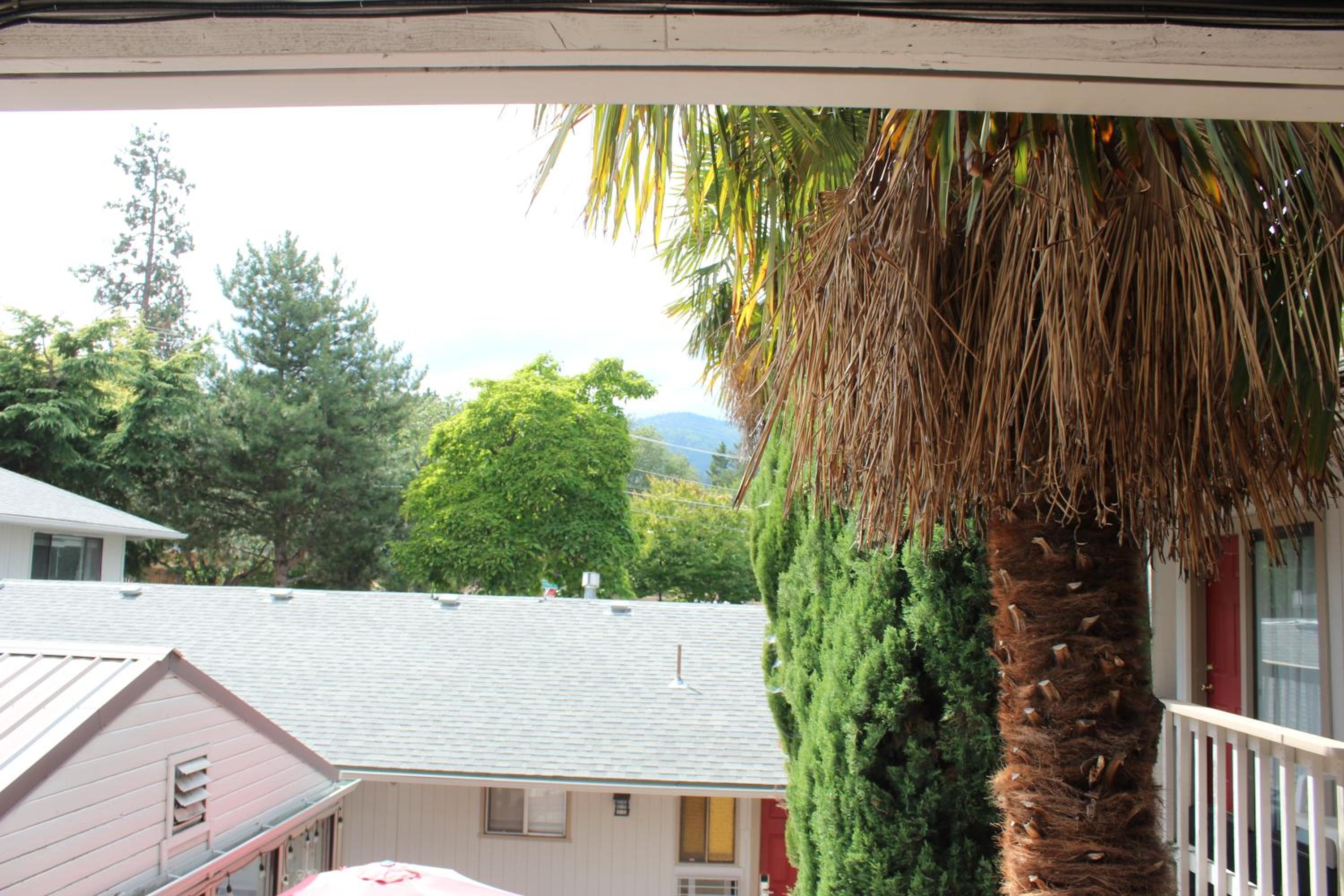 Ashland Vacations - Cedarwood Inn of Ashland - Property Image 32