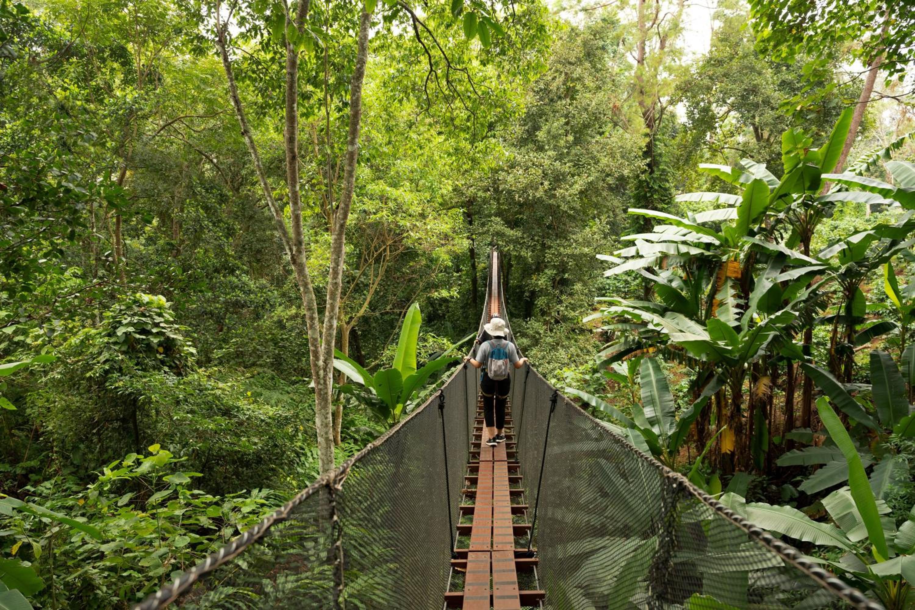 Le Meridien Chiang Rai Resort, Thailand — photo 108