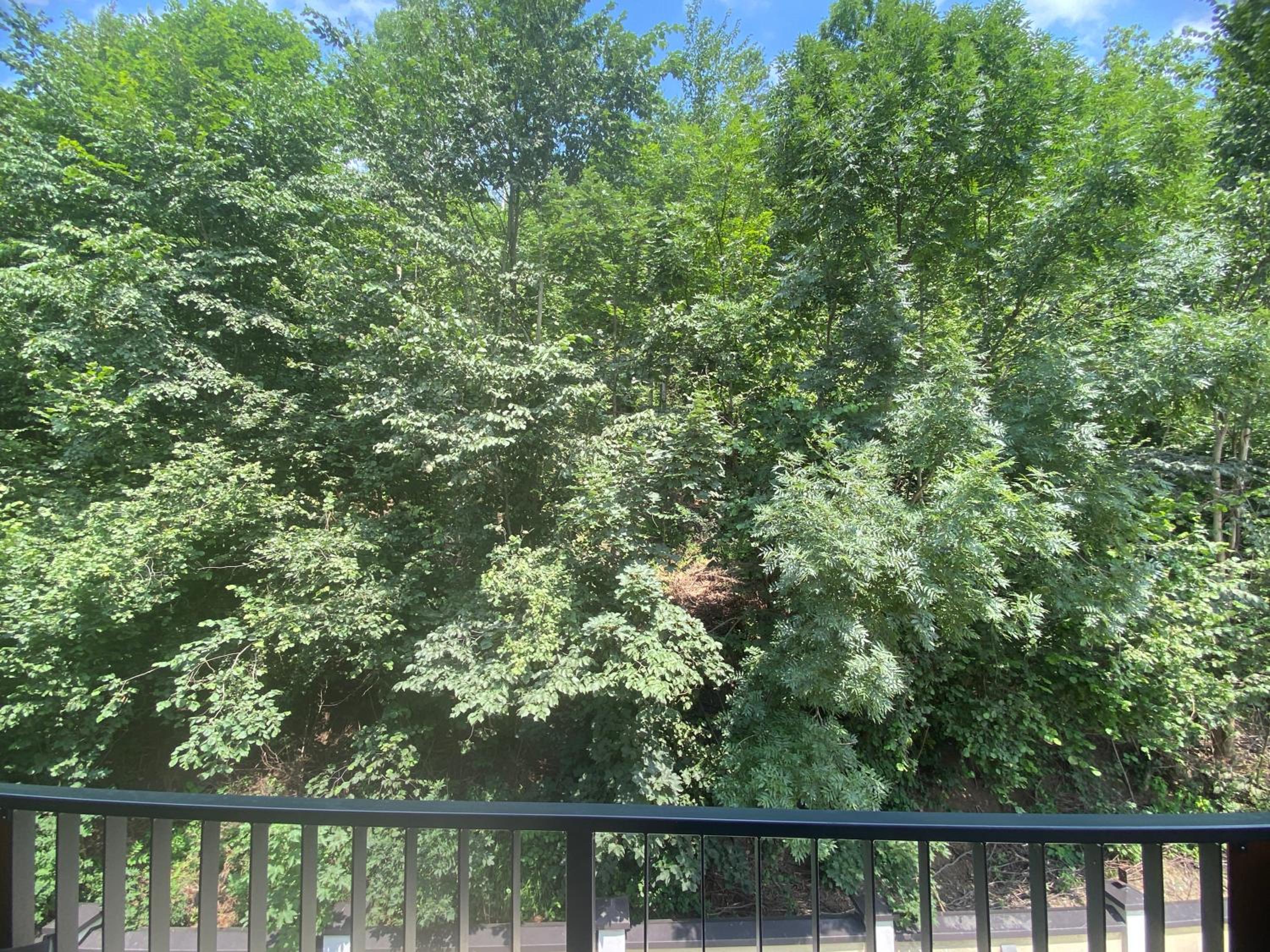 Apartmán Jurošík