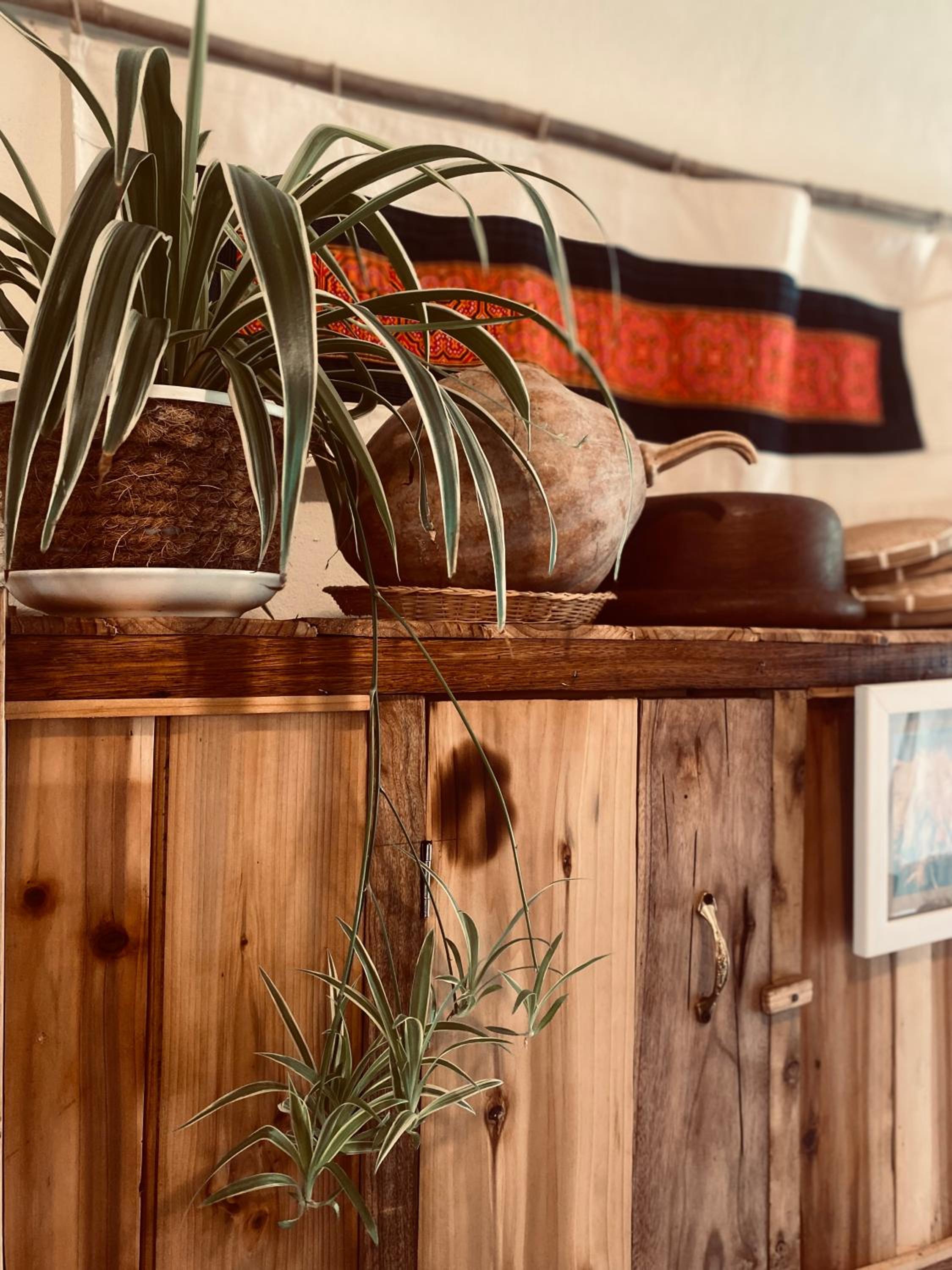 Photo 66