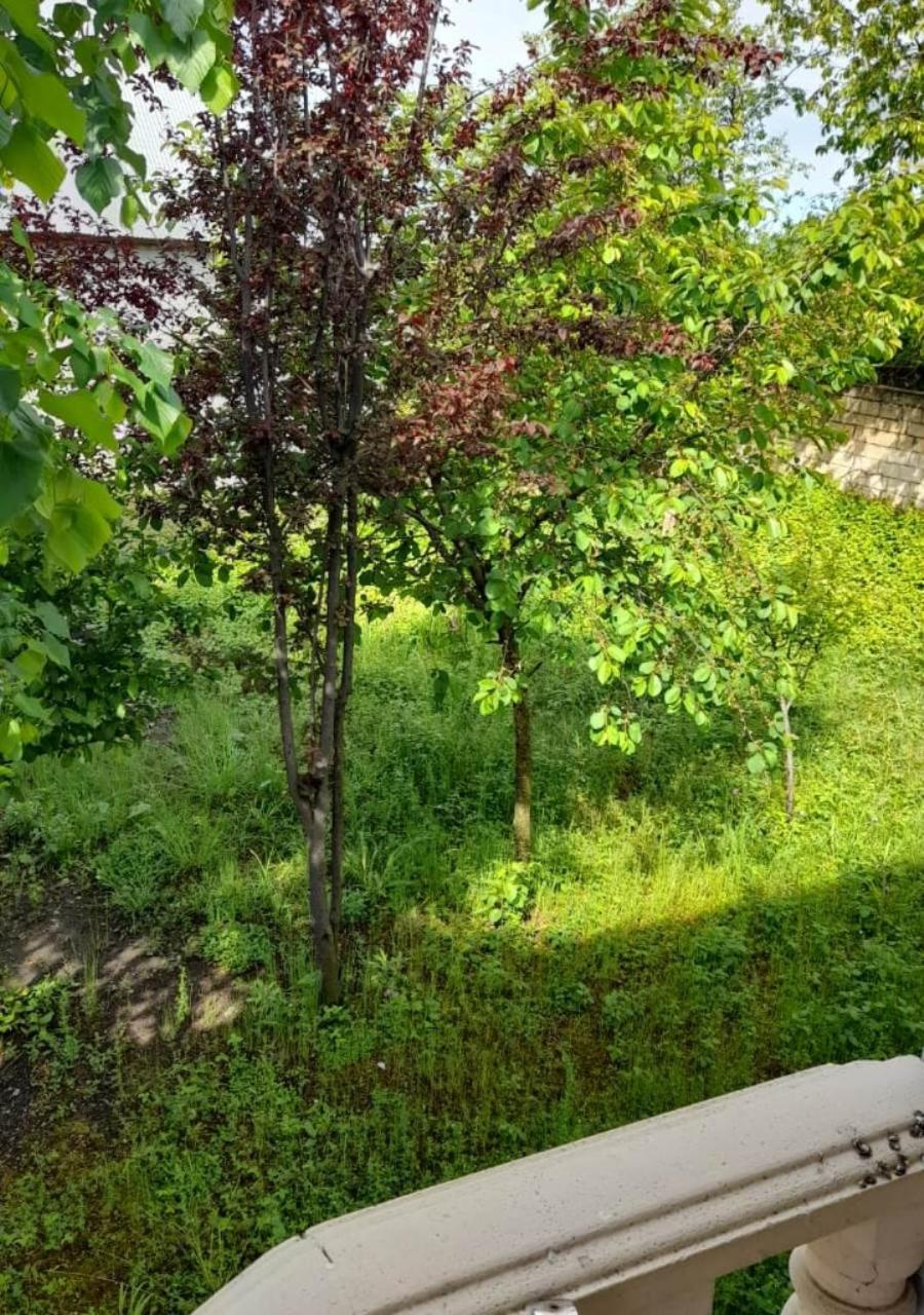 Ali Baba Residence