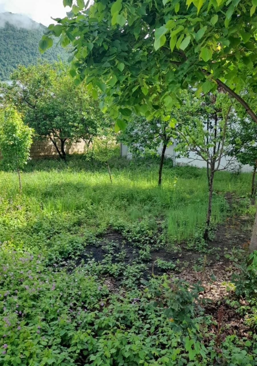 Ali Baba Residence