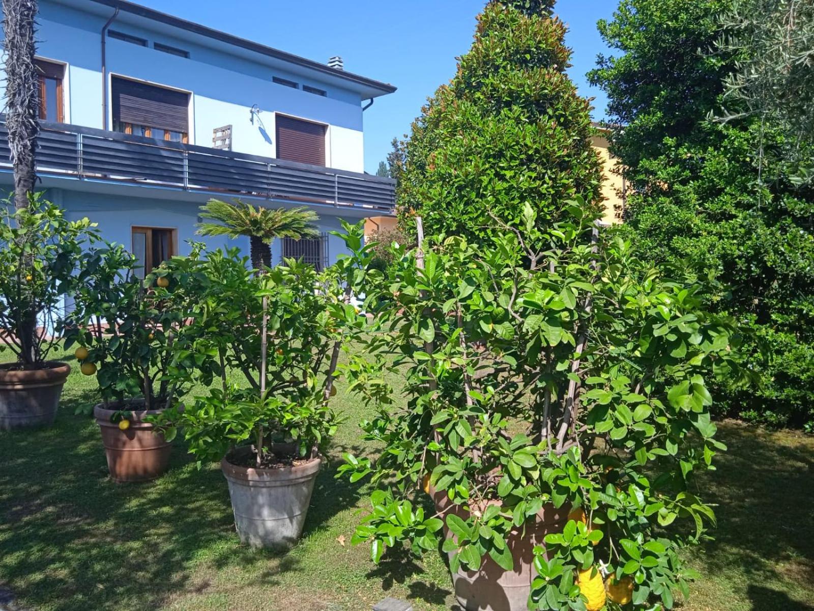 Villa Celeste