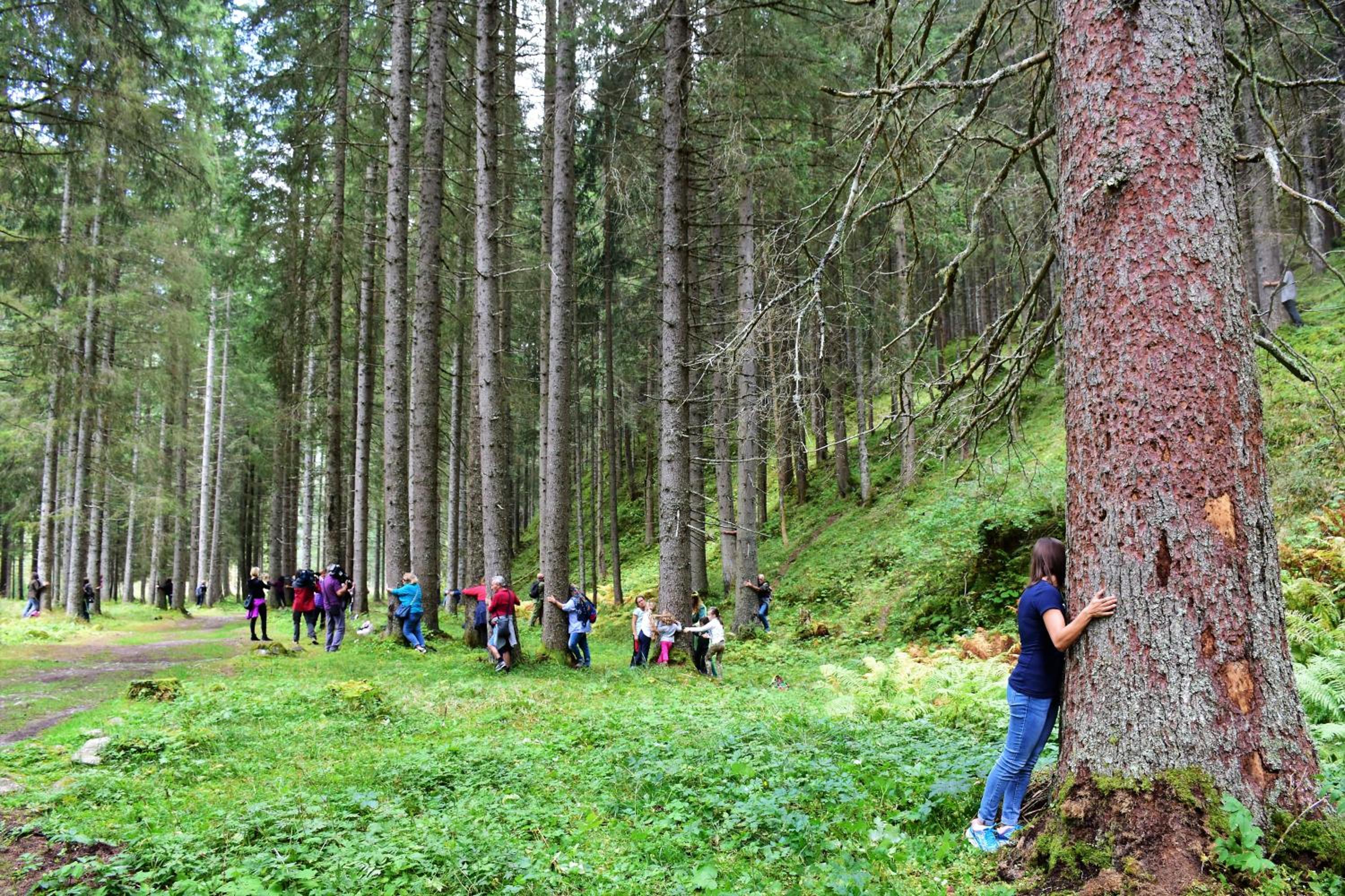 Photo 70