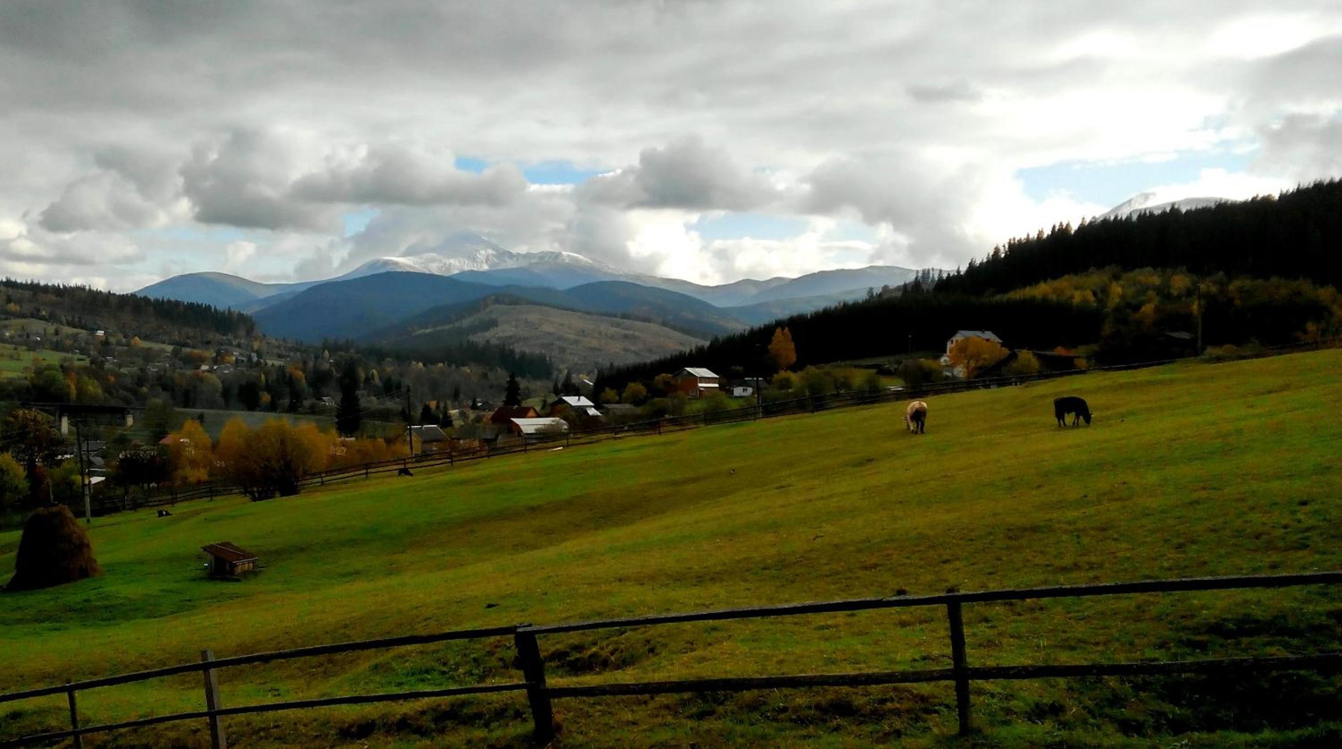 Cottage Ozerniy