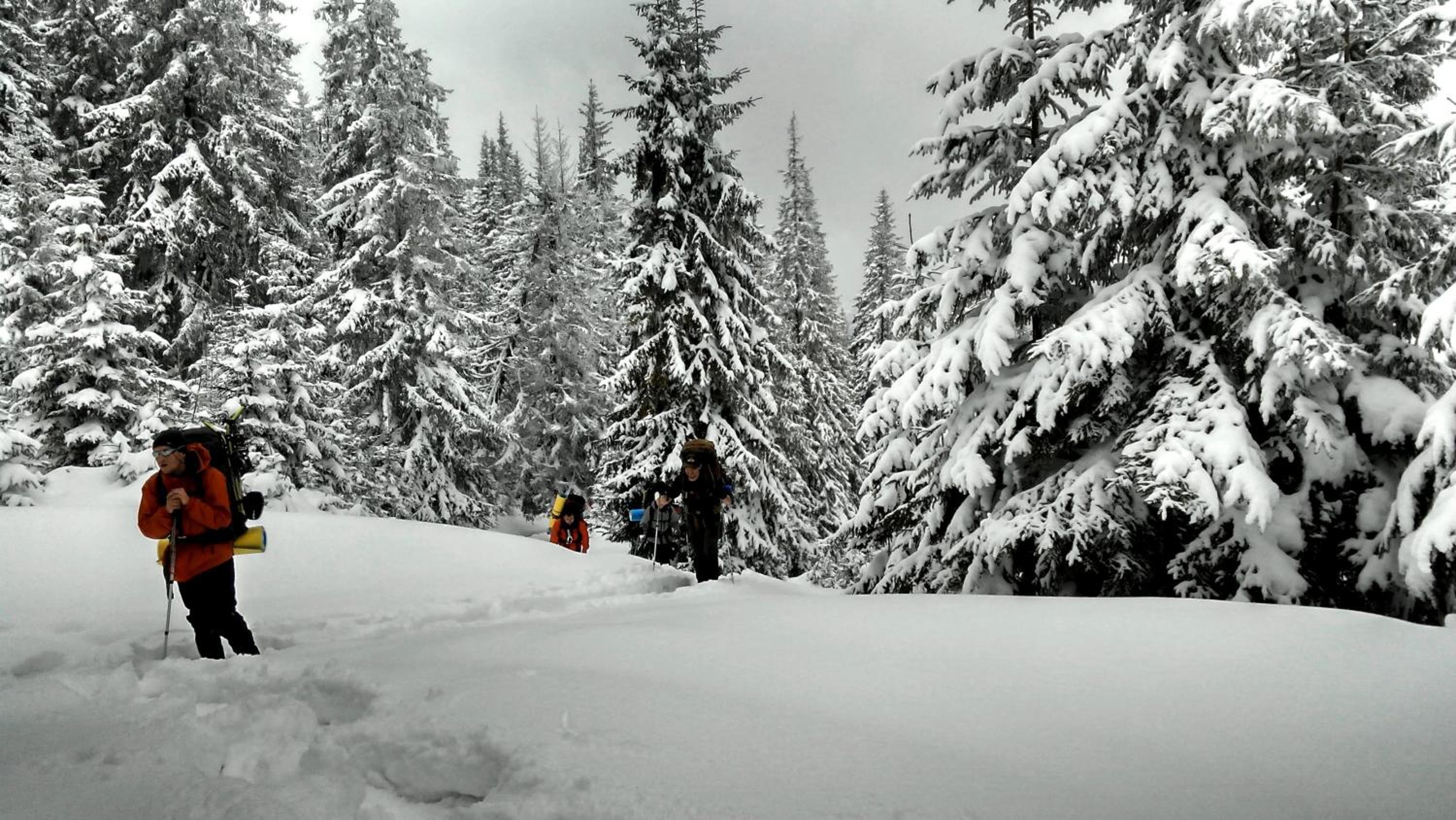 Cottage Ozerniy