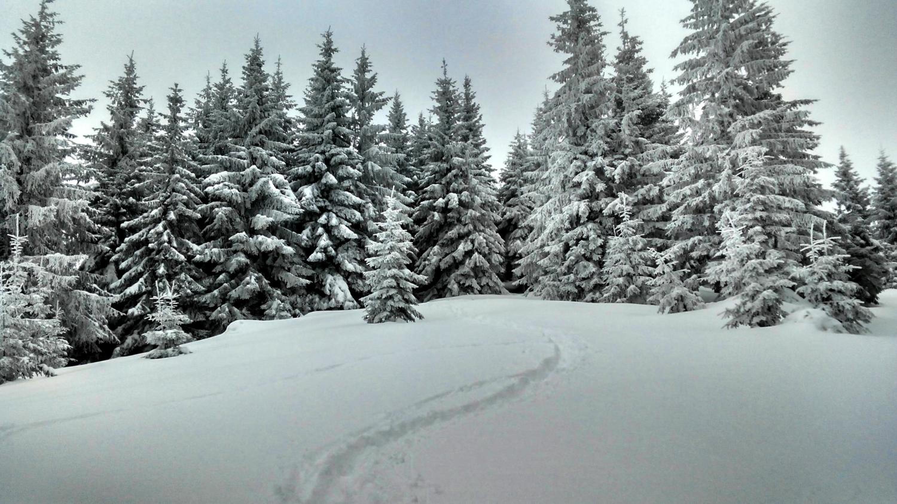 Cottage Ozerniy