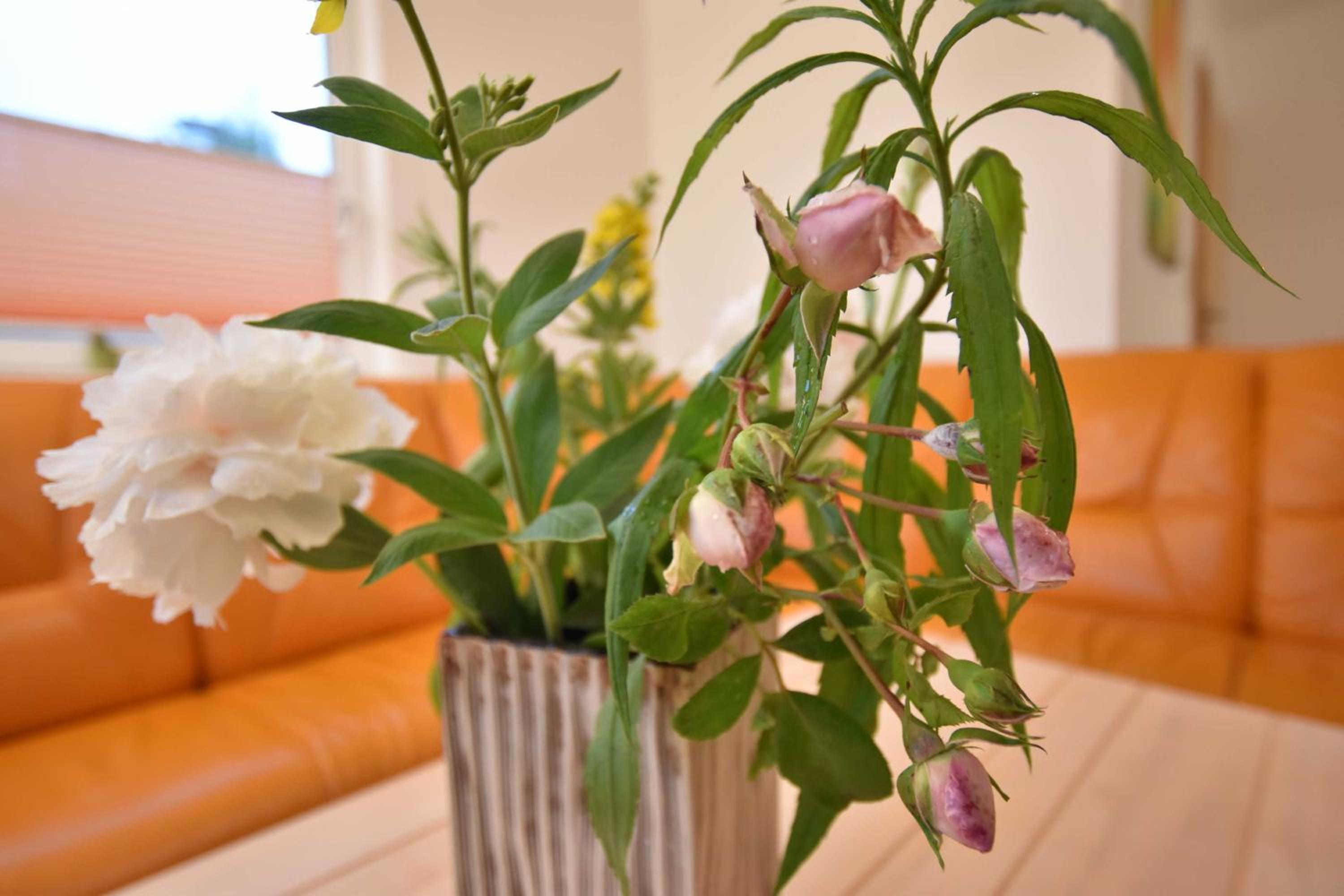 B1 Ferien-Bungalow Seewind Ostseebad Rerik