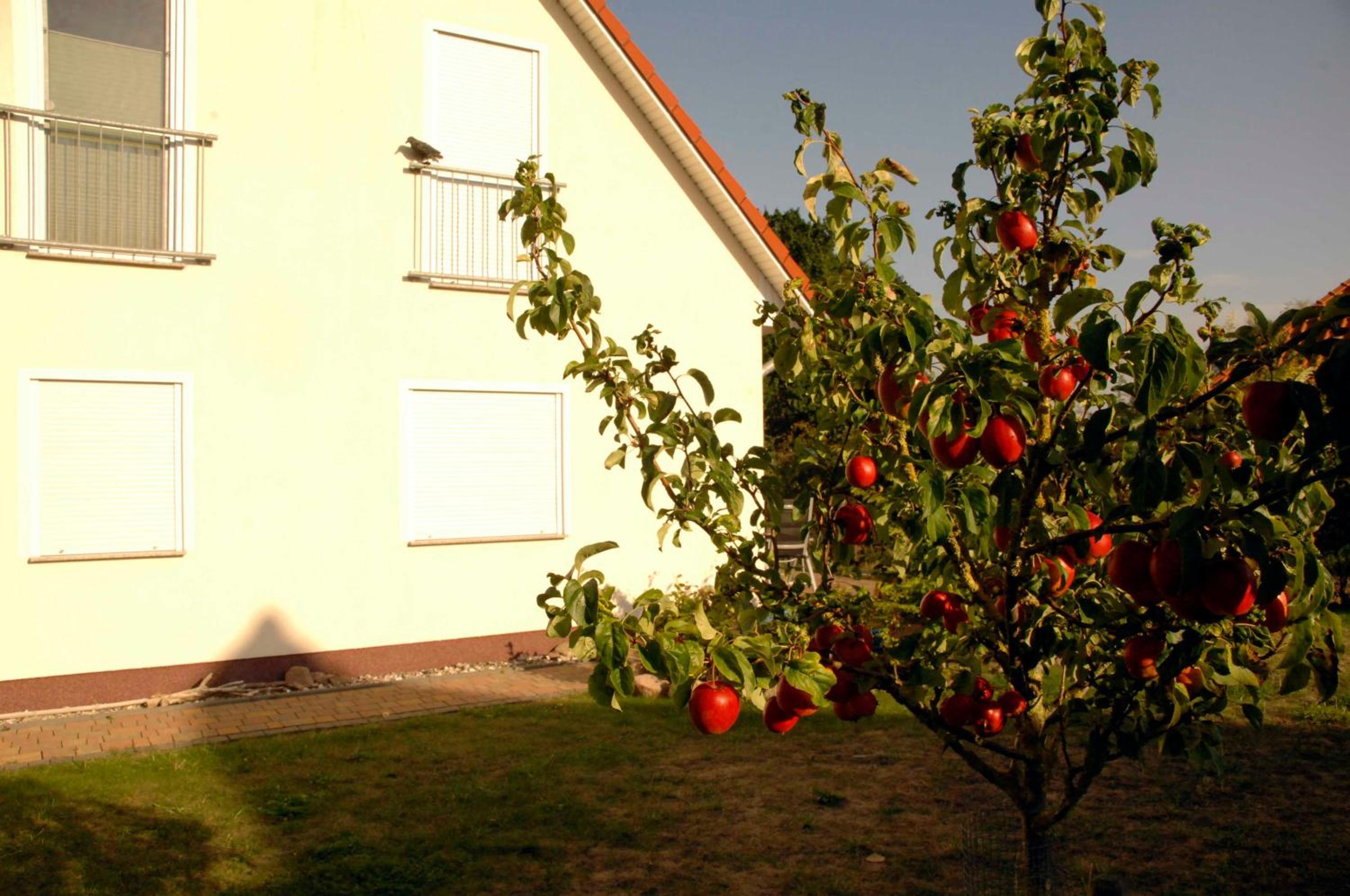 A4 Ferienhaus 