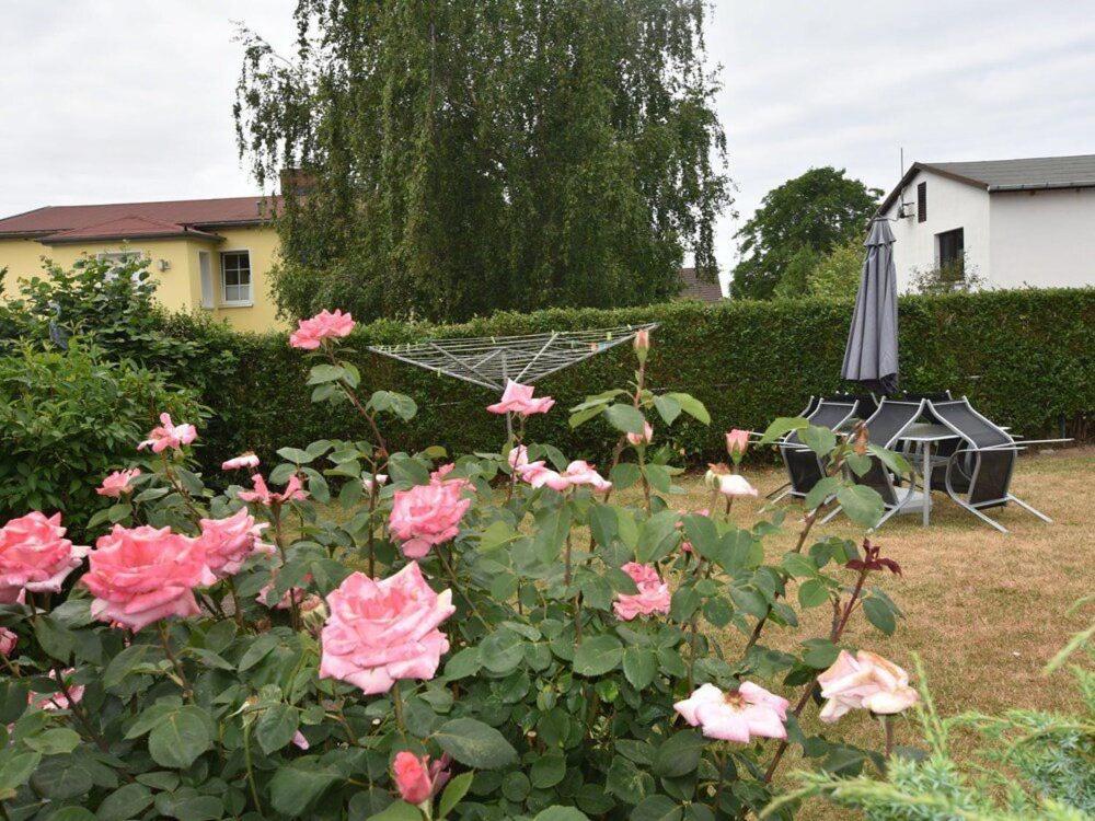 G2 FeWos und Gesundheit Ostseebad Rerik