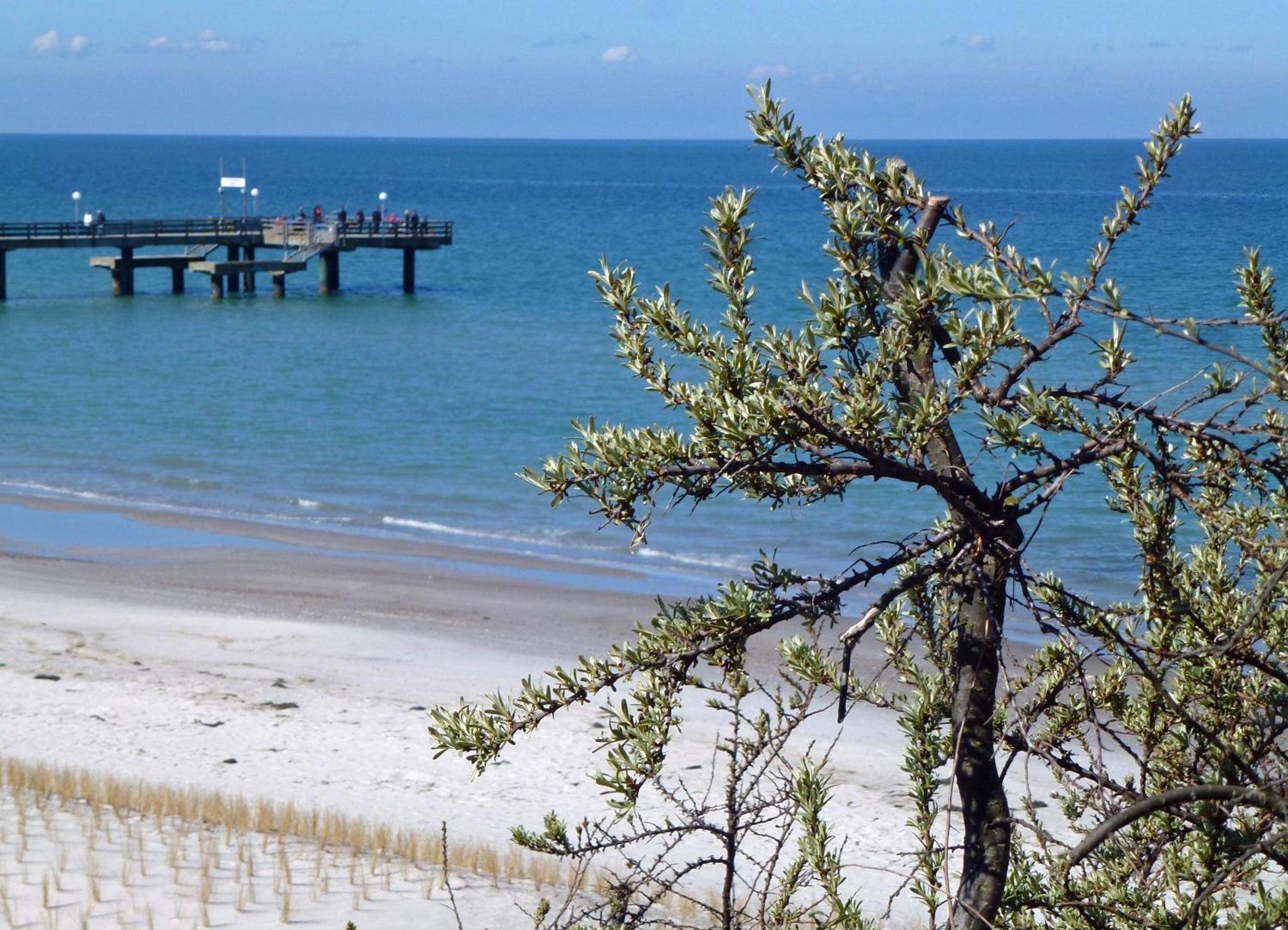 G2 FeWos und Gesundheit Ostseebad Rerik