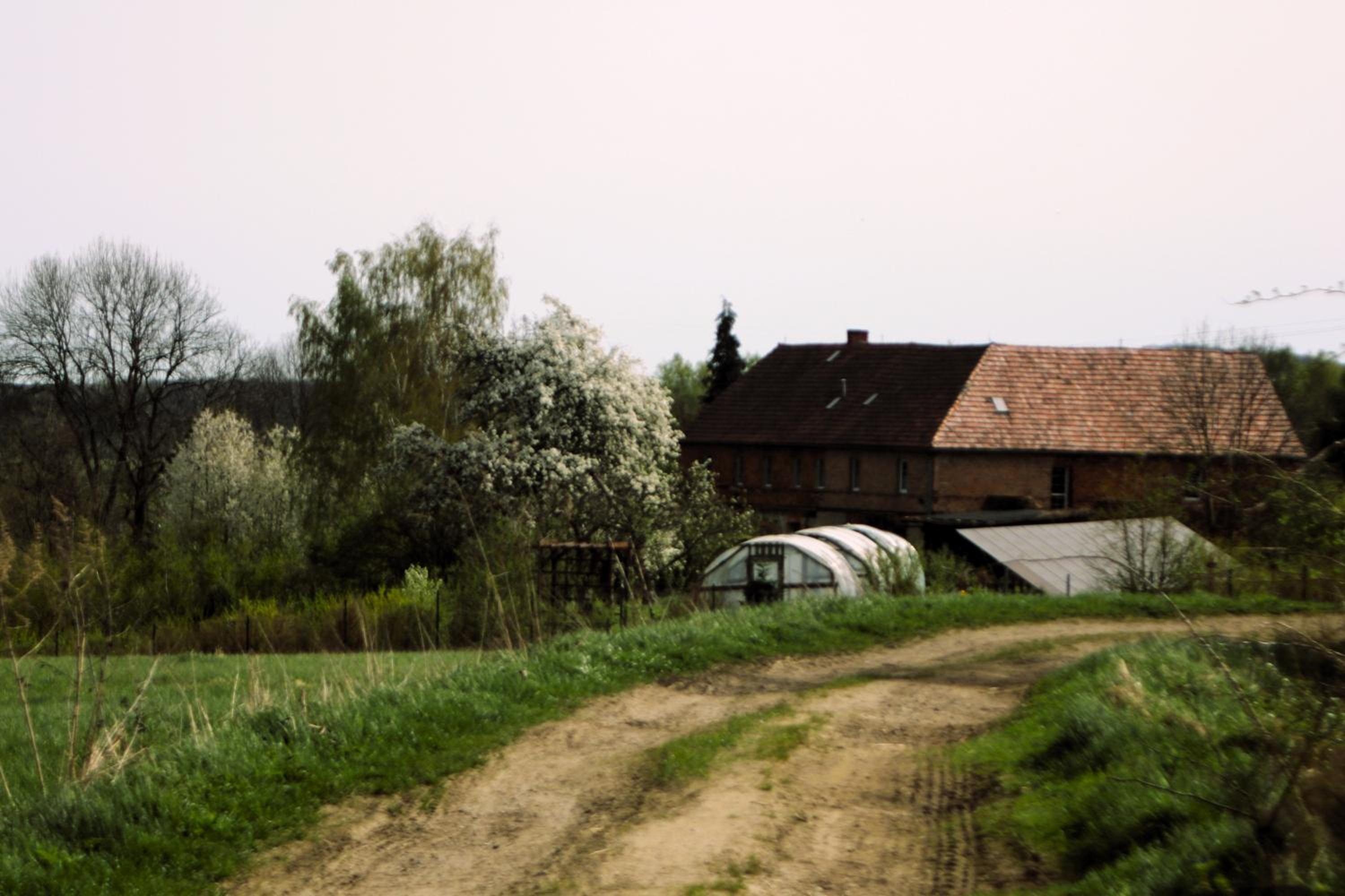 Photo 45