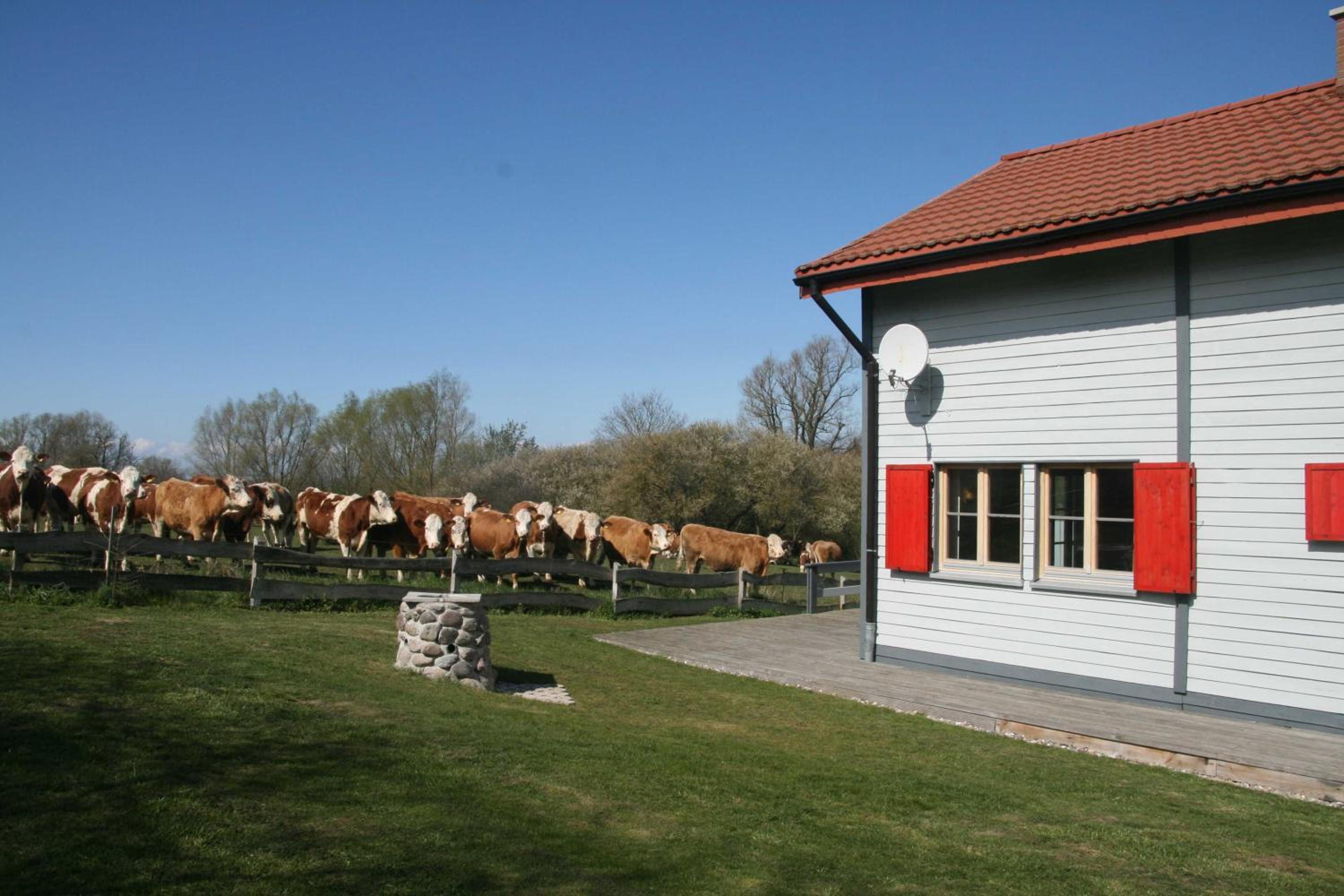 H12 Holz-Ferienhaus Haffblick Russow nahe Ostseebad Rerik