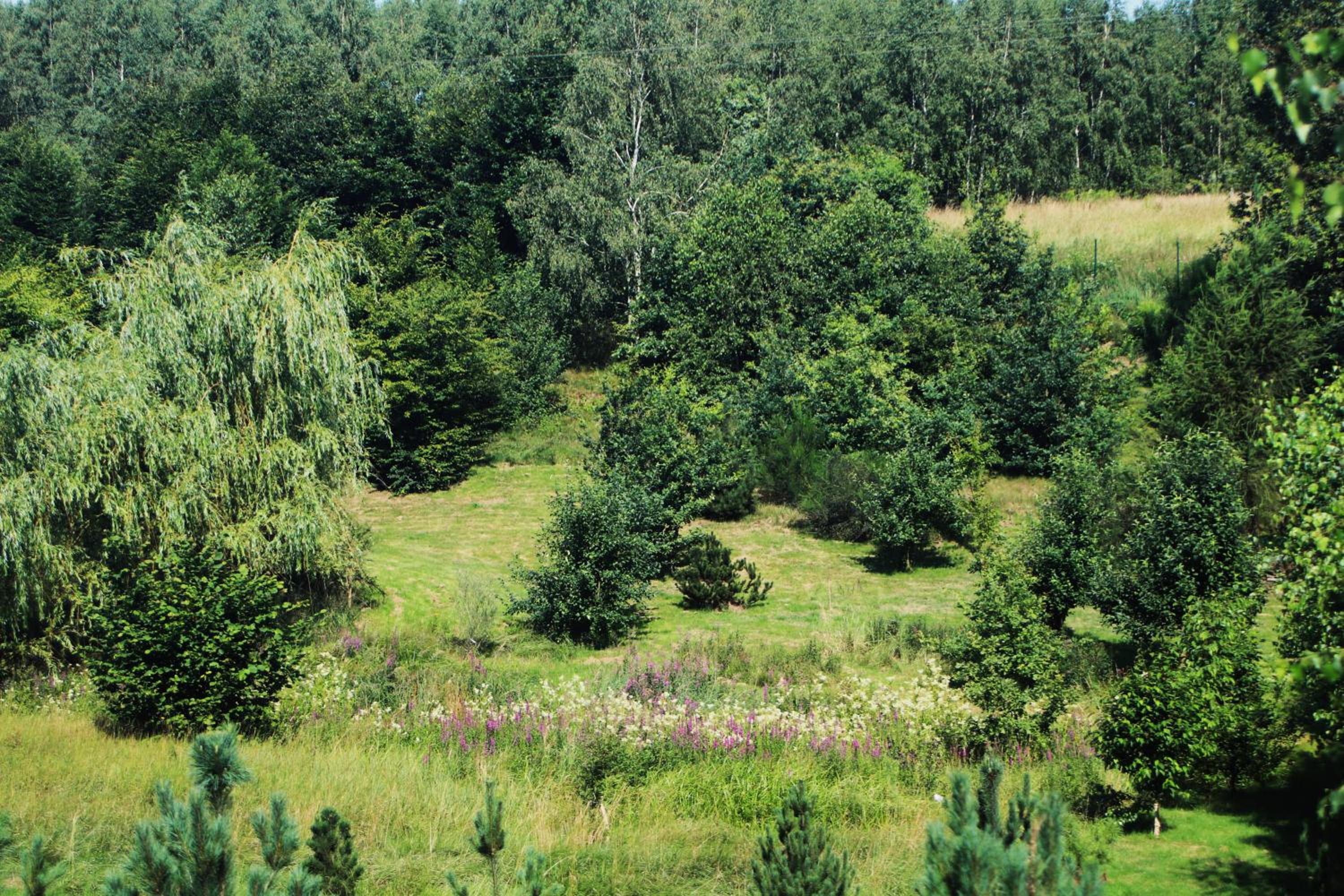 Photo 49