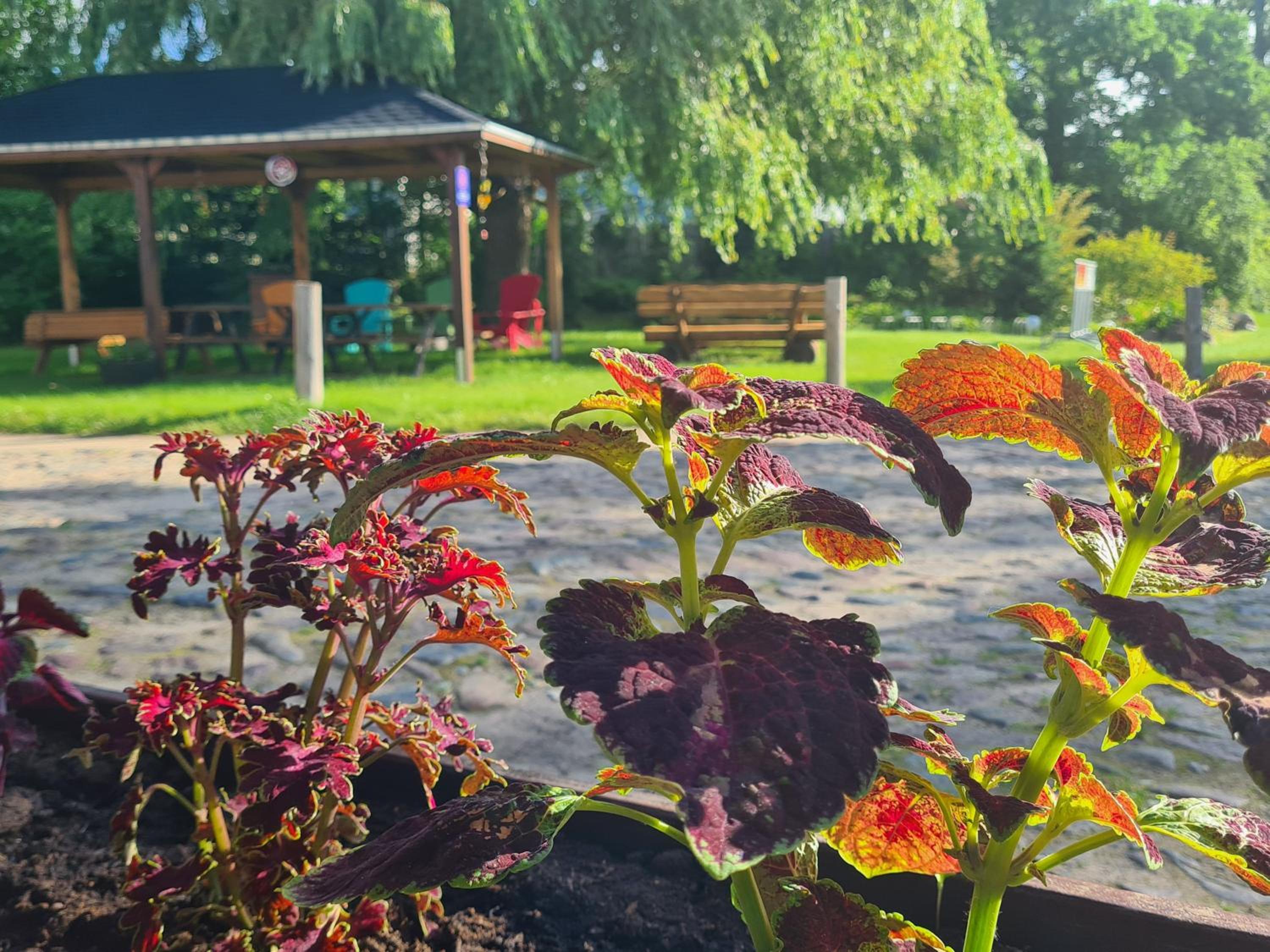 Landurlaub nahe Ostseebad Rerik