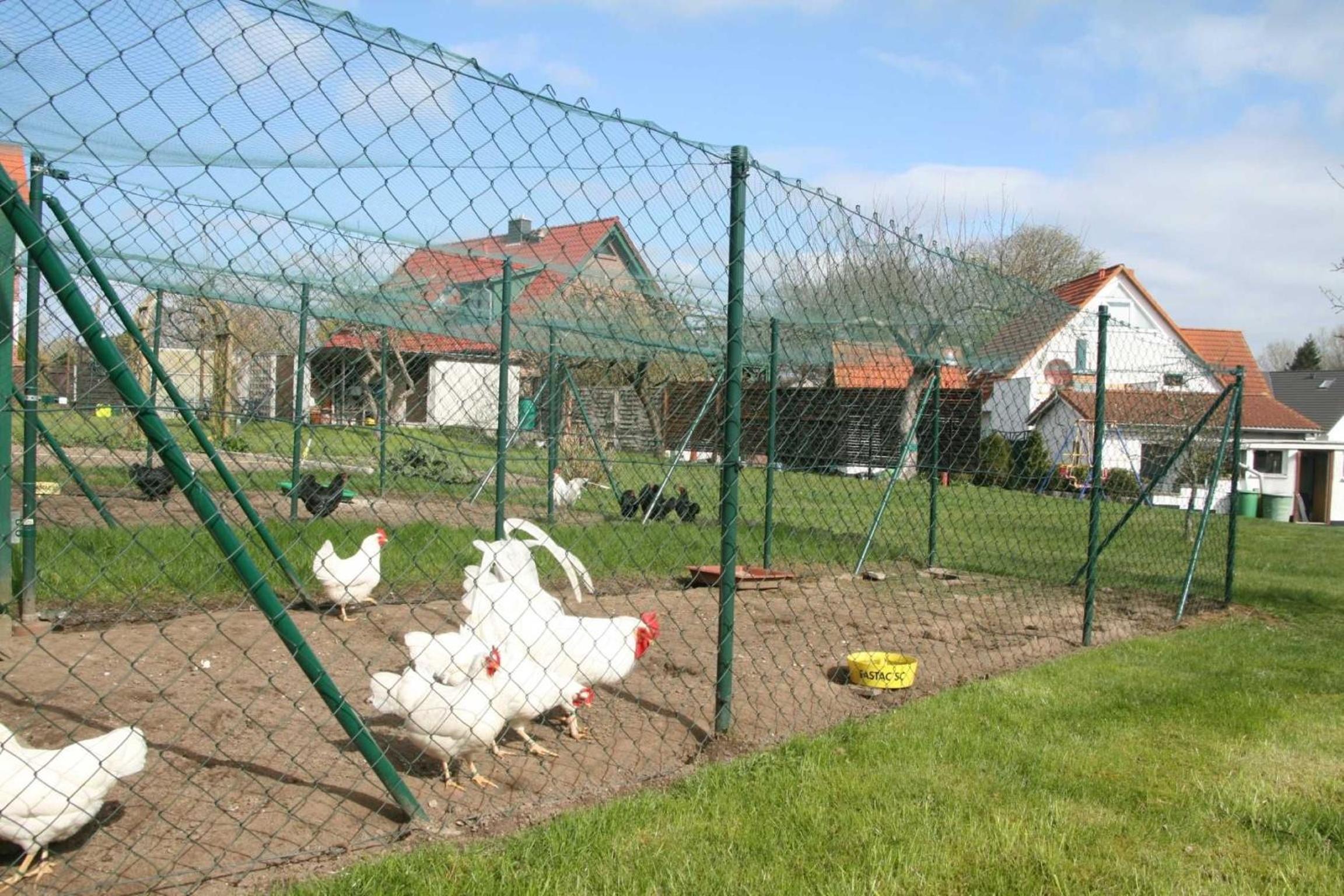 Ferienvilla XL Leuchtturmblick Bastorf nahe Kühlungsborn
