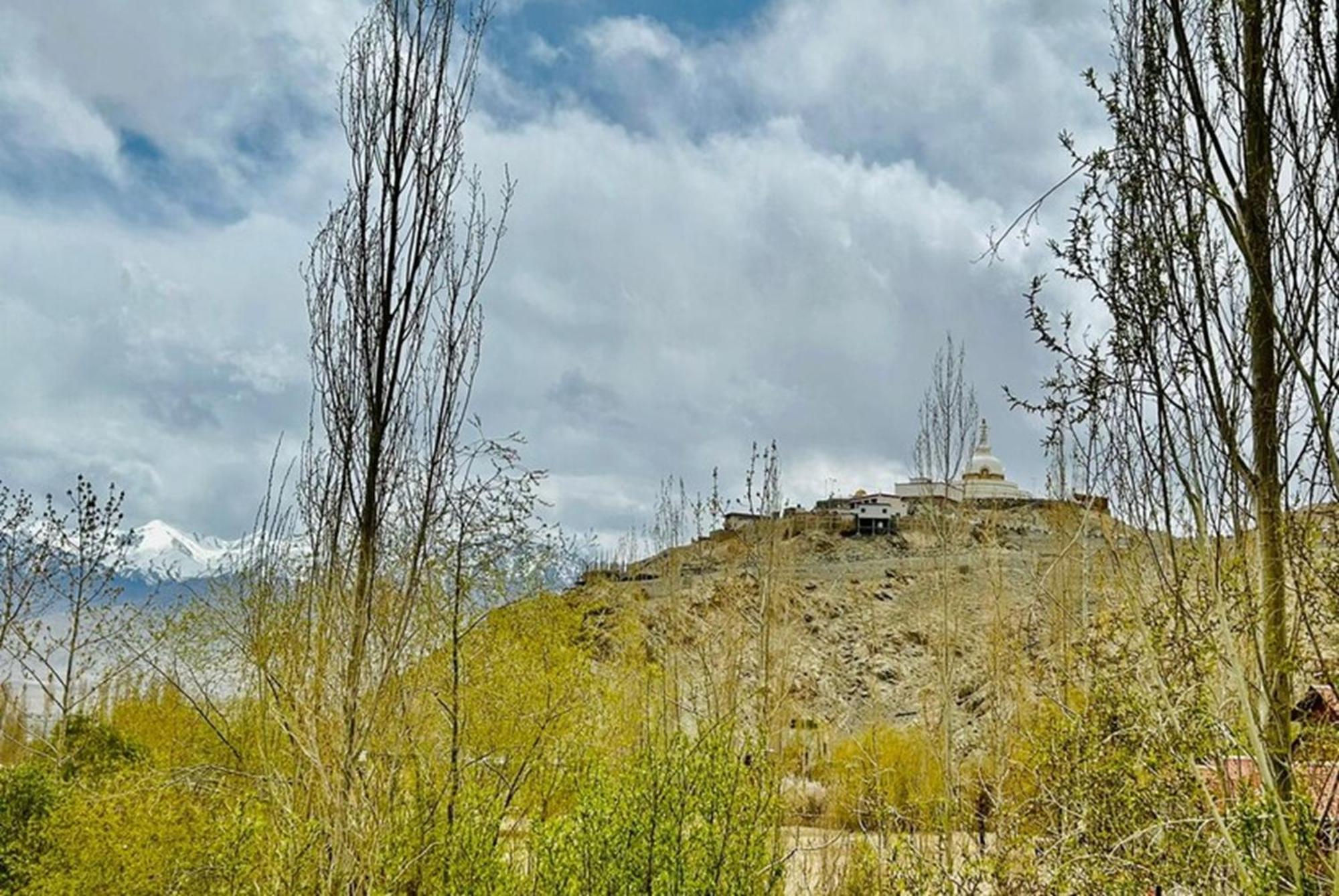 Khamba Villa Ladakh by LexStays view 5