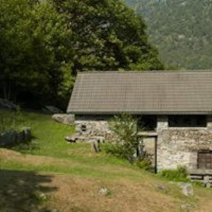 rustico Lele