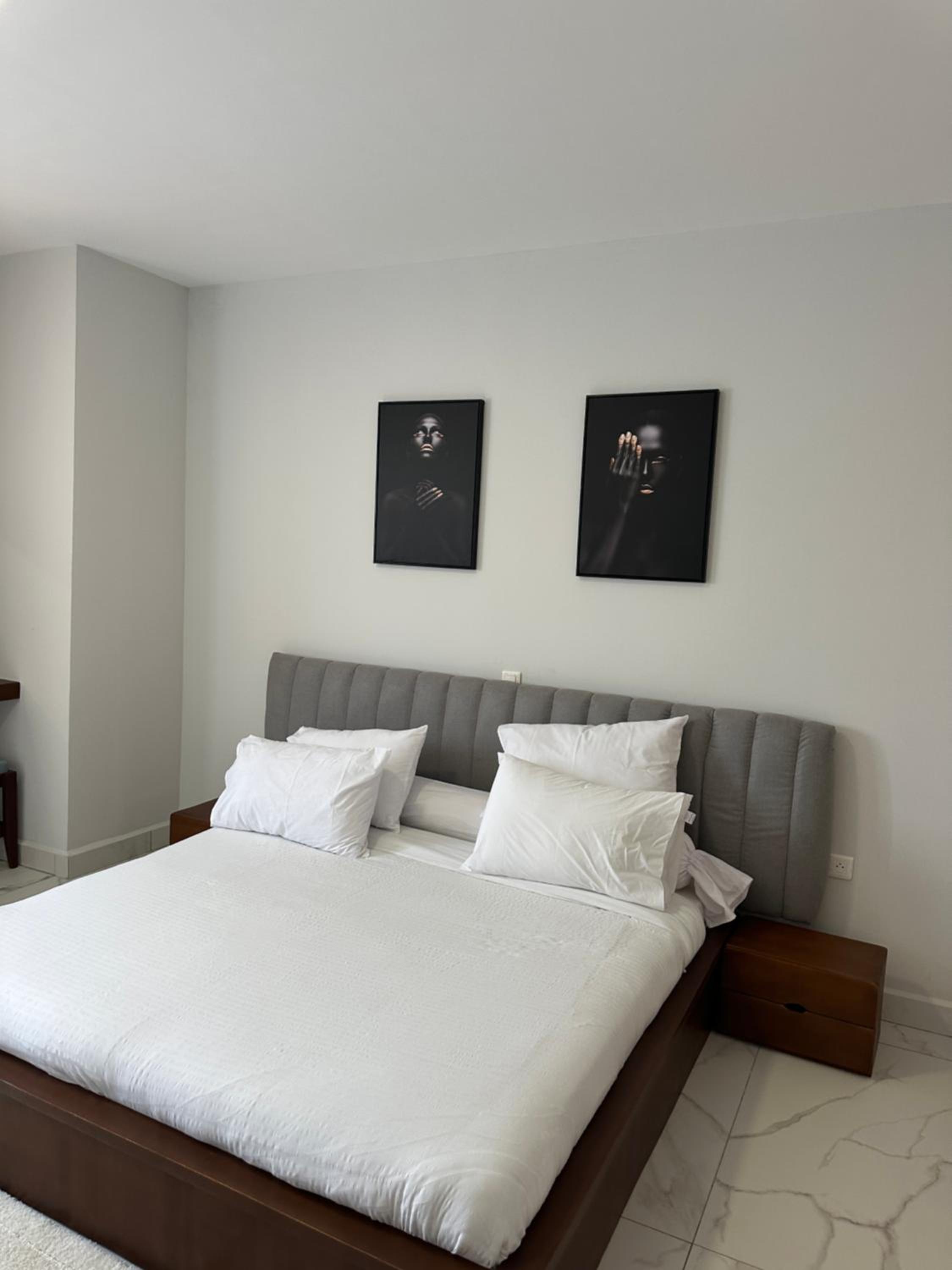 Luxury Furnished Appartments