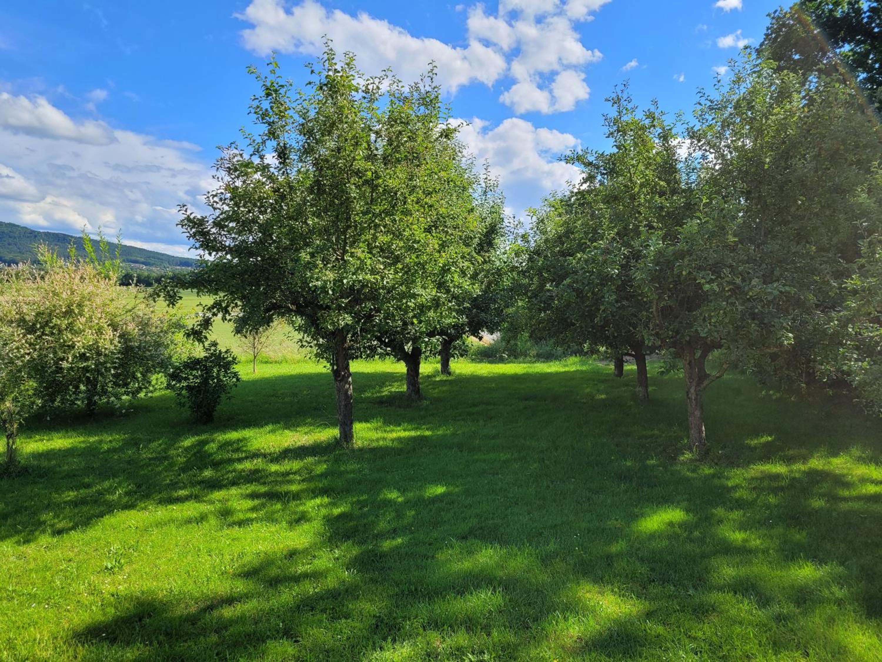 Ferienwohnung Berg-Anni
