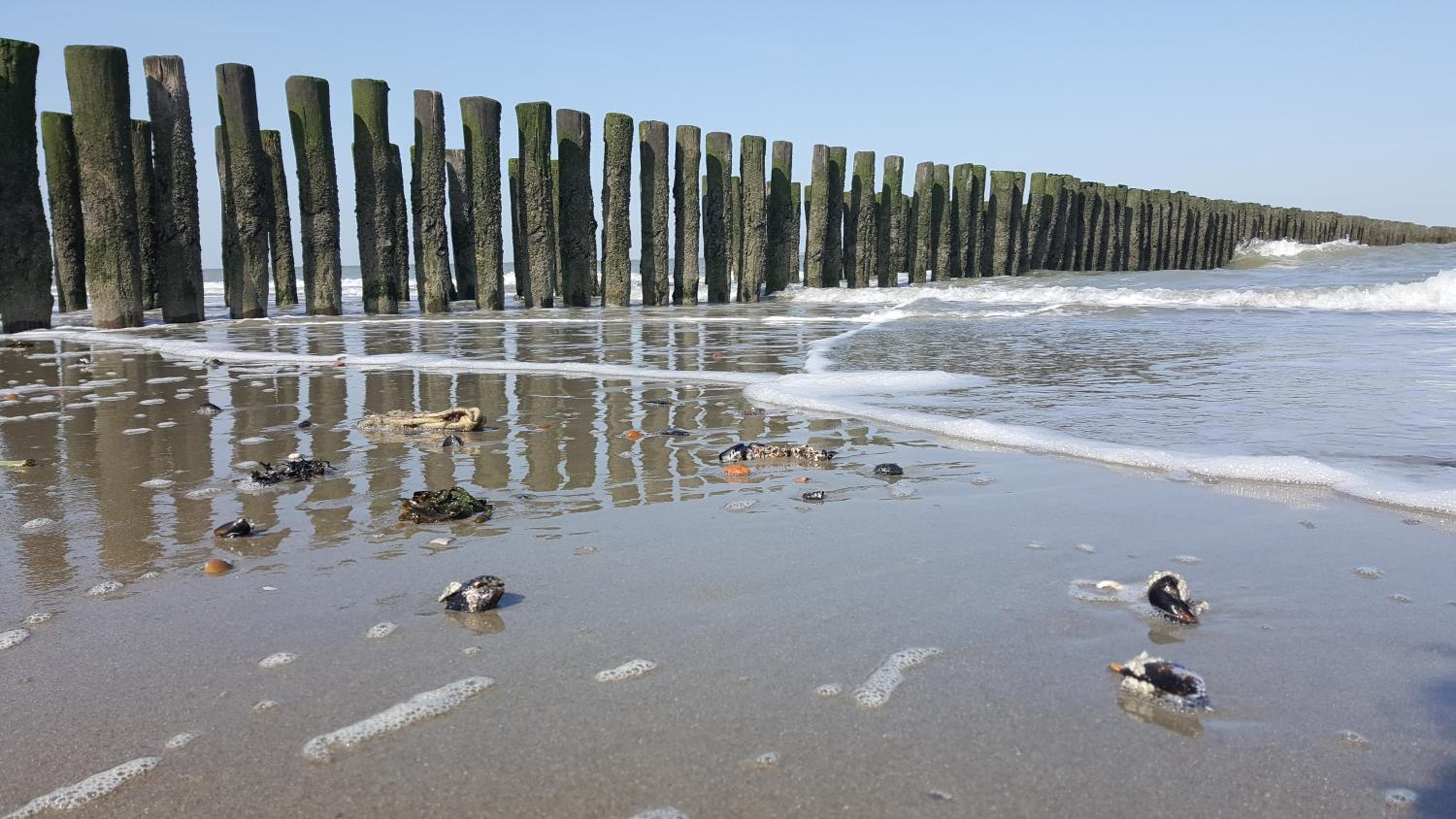 other