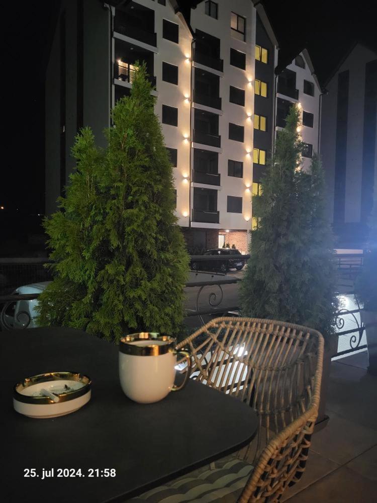 Apartman Vukmirović view 3