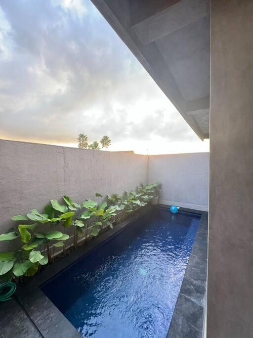 Prime Location Villa Berawa Canggu 3bed — recepcion & lobby