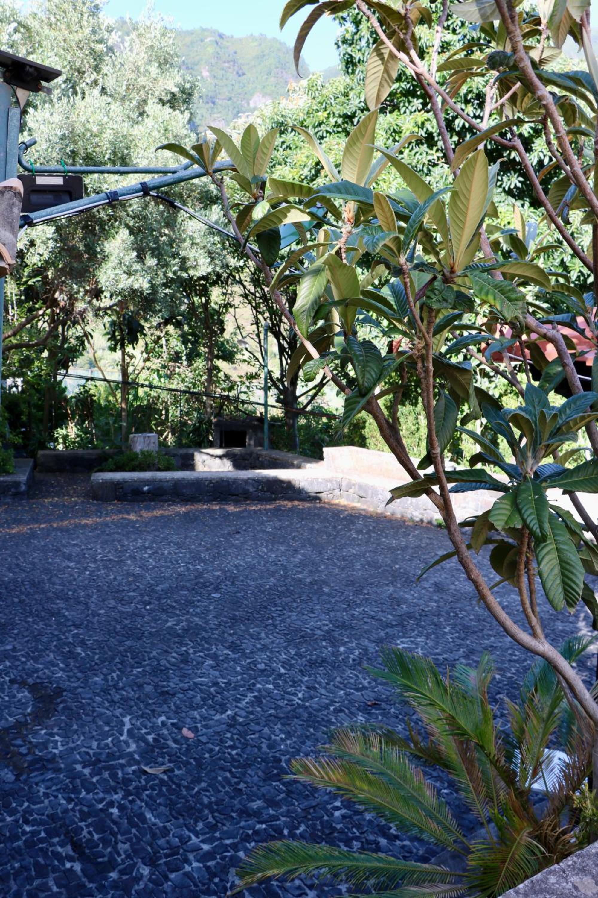 Photo 39