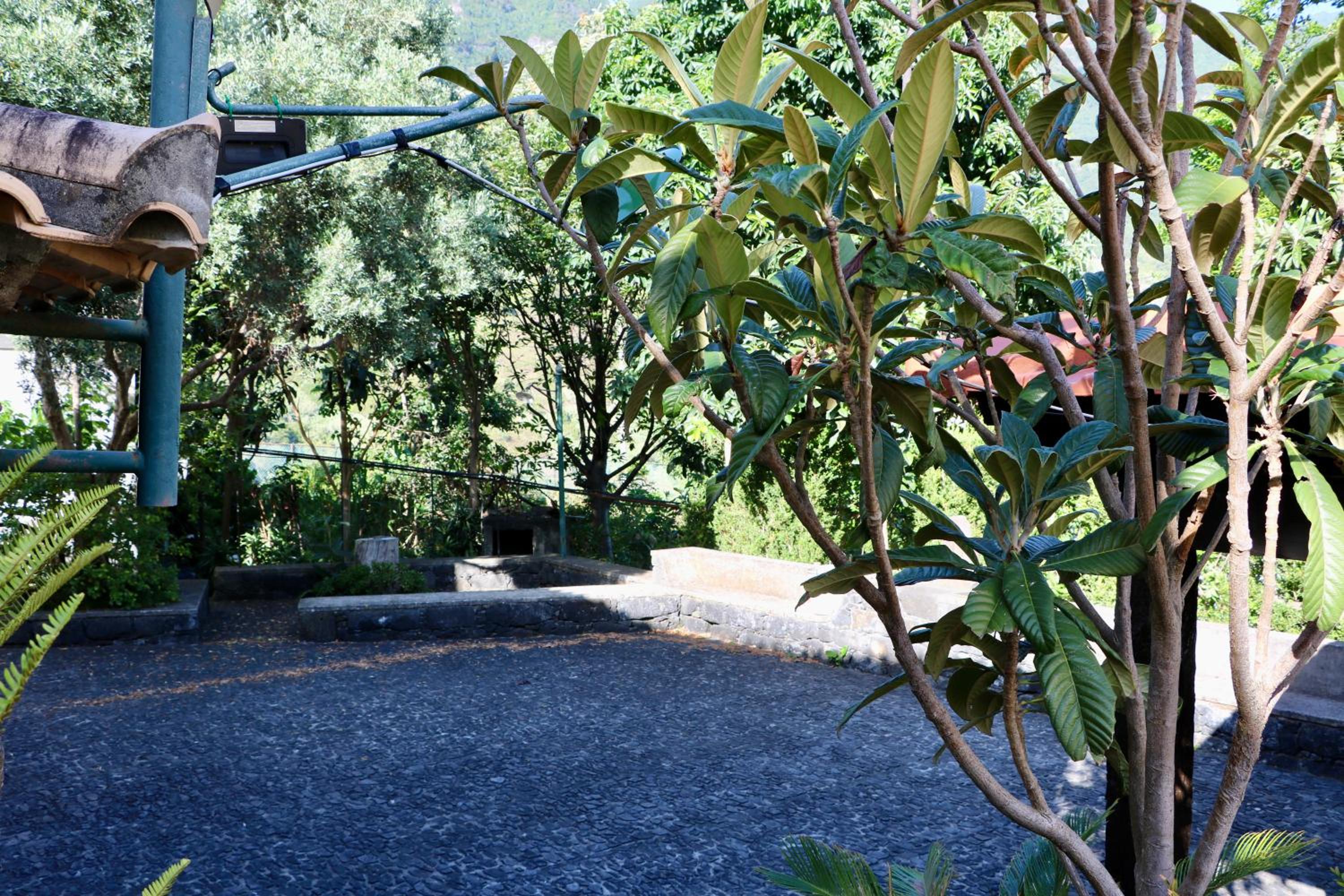 Photo 40
